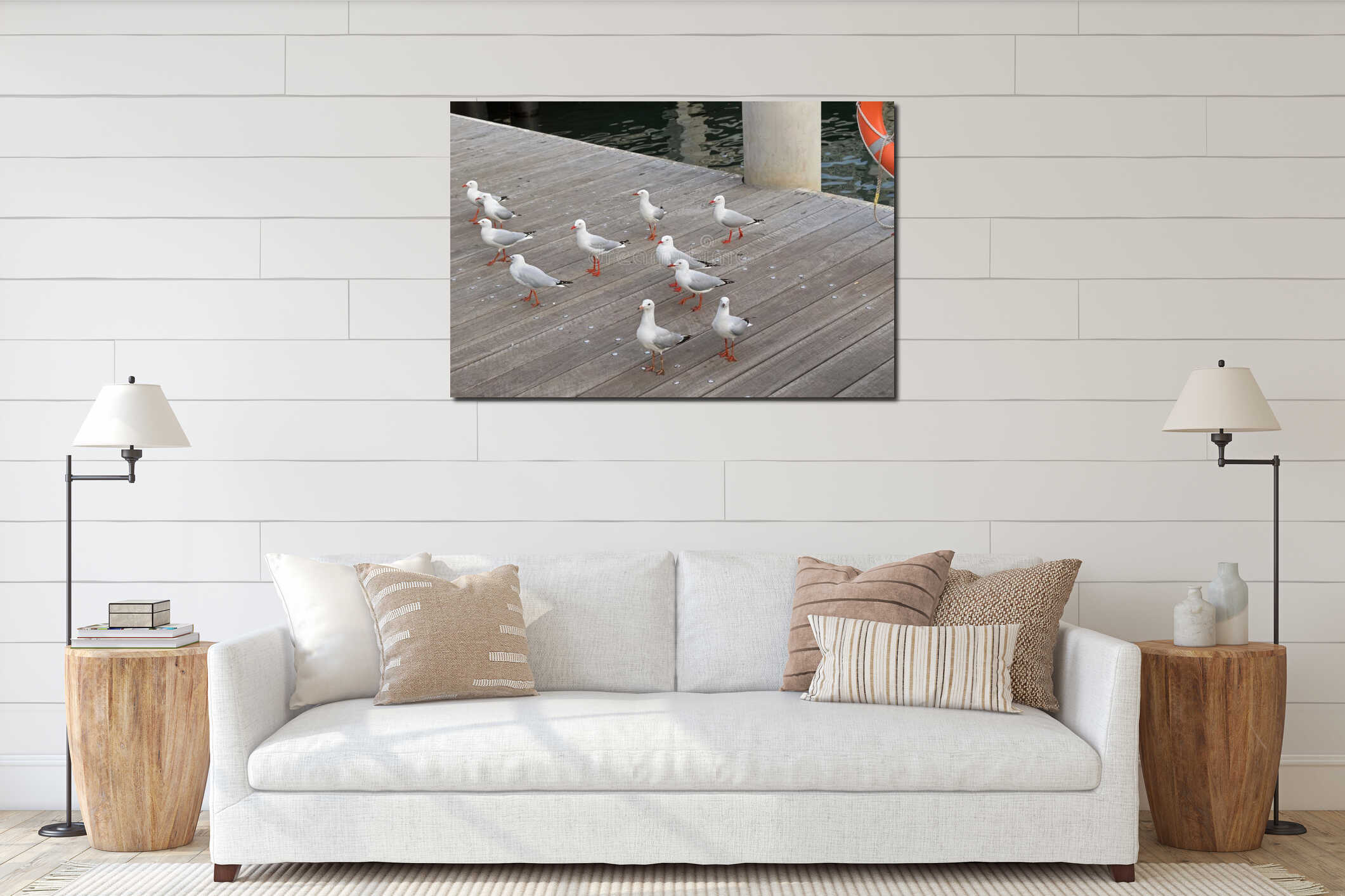 Silver gull bird standing on wooden path at the pier in Sydney, interior mockup