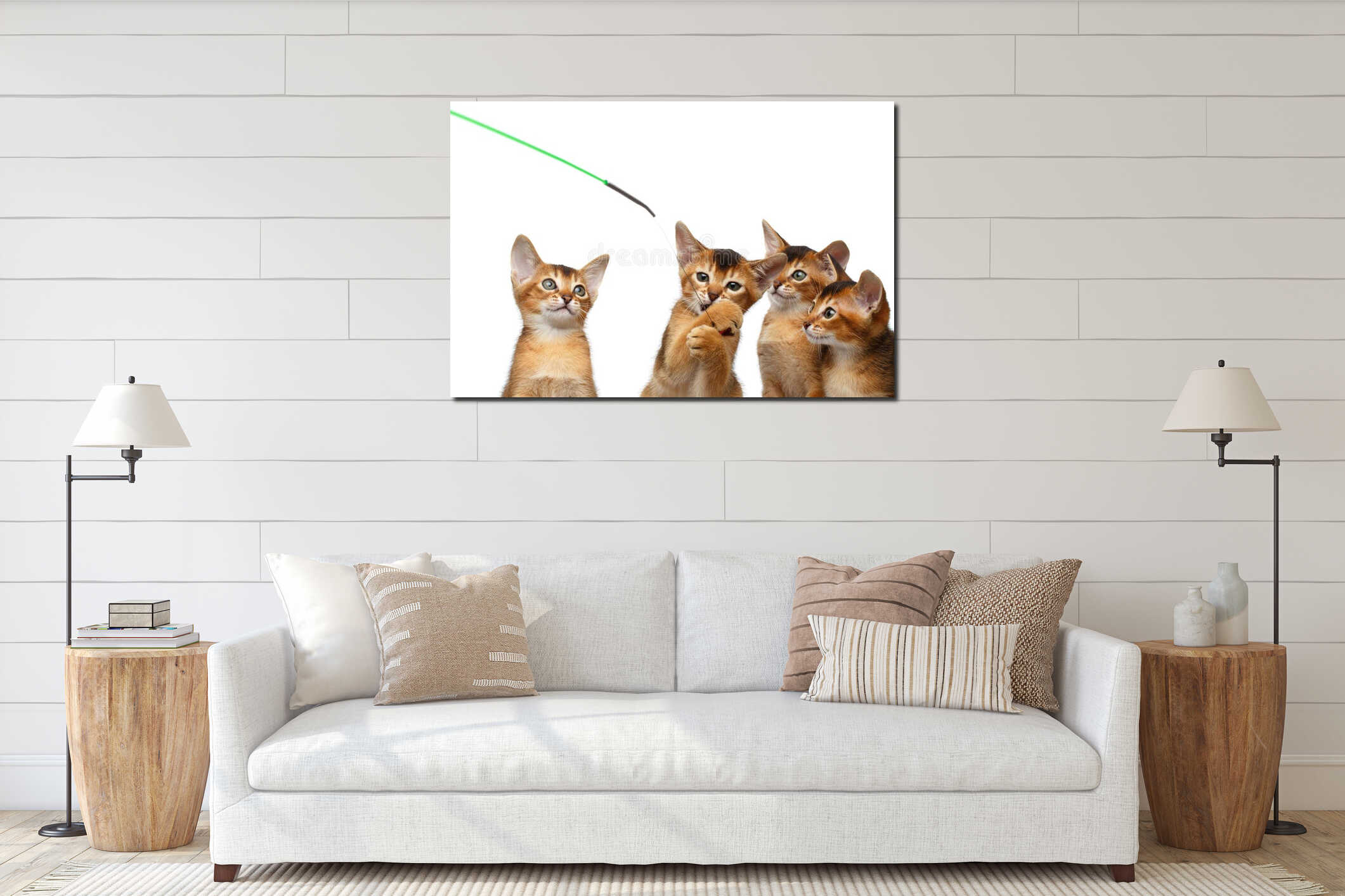 Playful Abyssinian four Kitten on Isolated White Background interior mockup