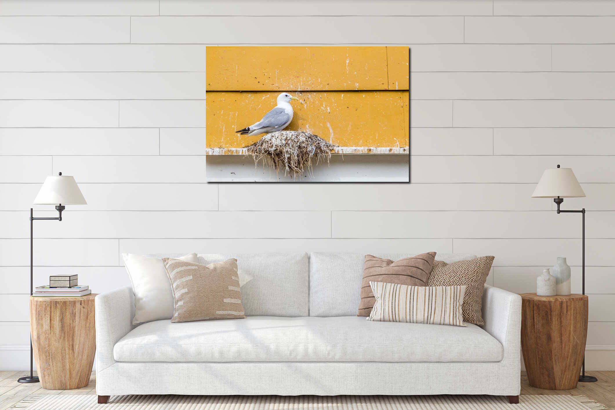 Seagull on his nest on the edge of a window of a yellow rorbu in interior mockup