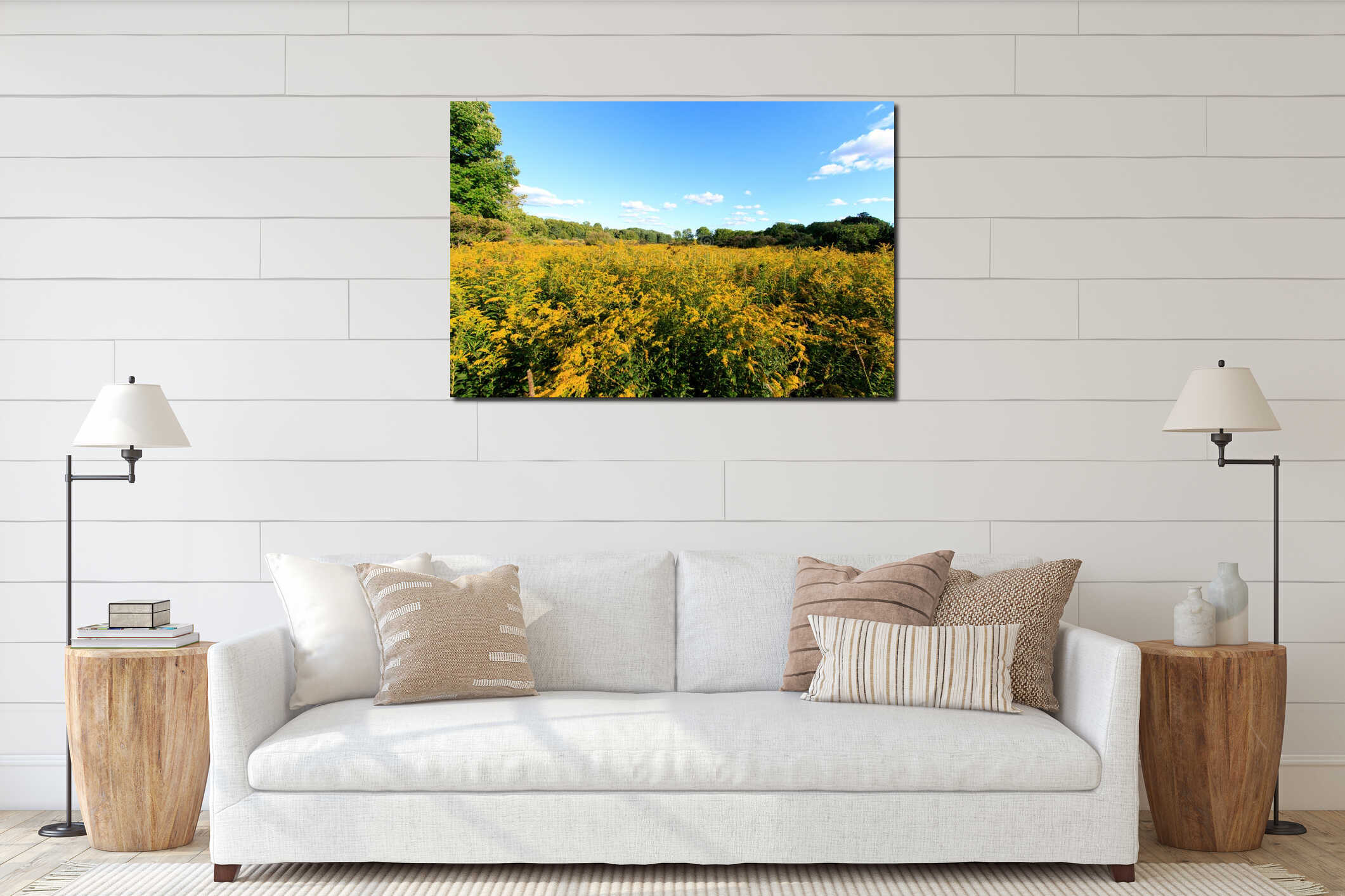 Wide angle field of goldenrod interior mockup