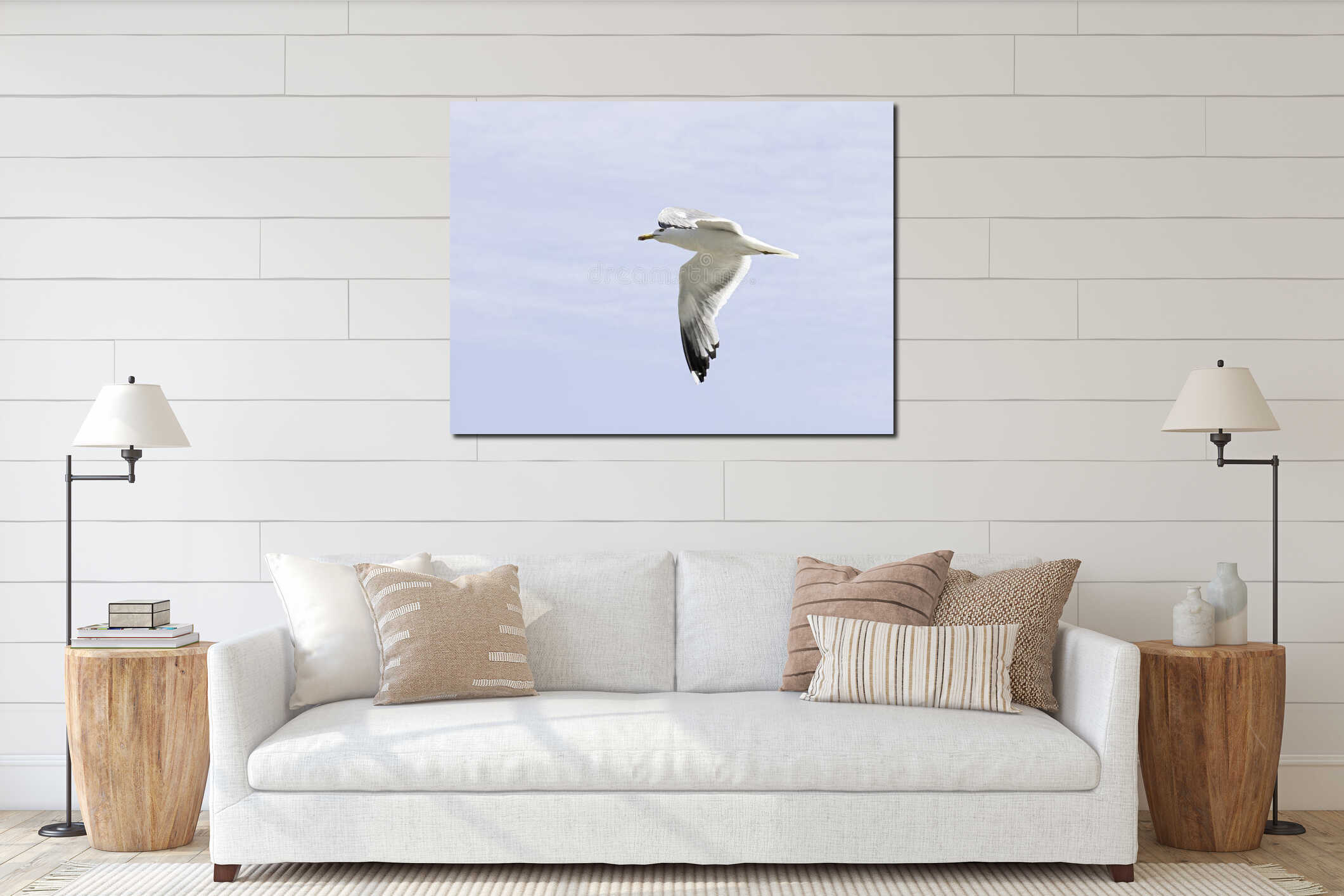 Seagull flying sky interior mockup