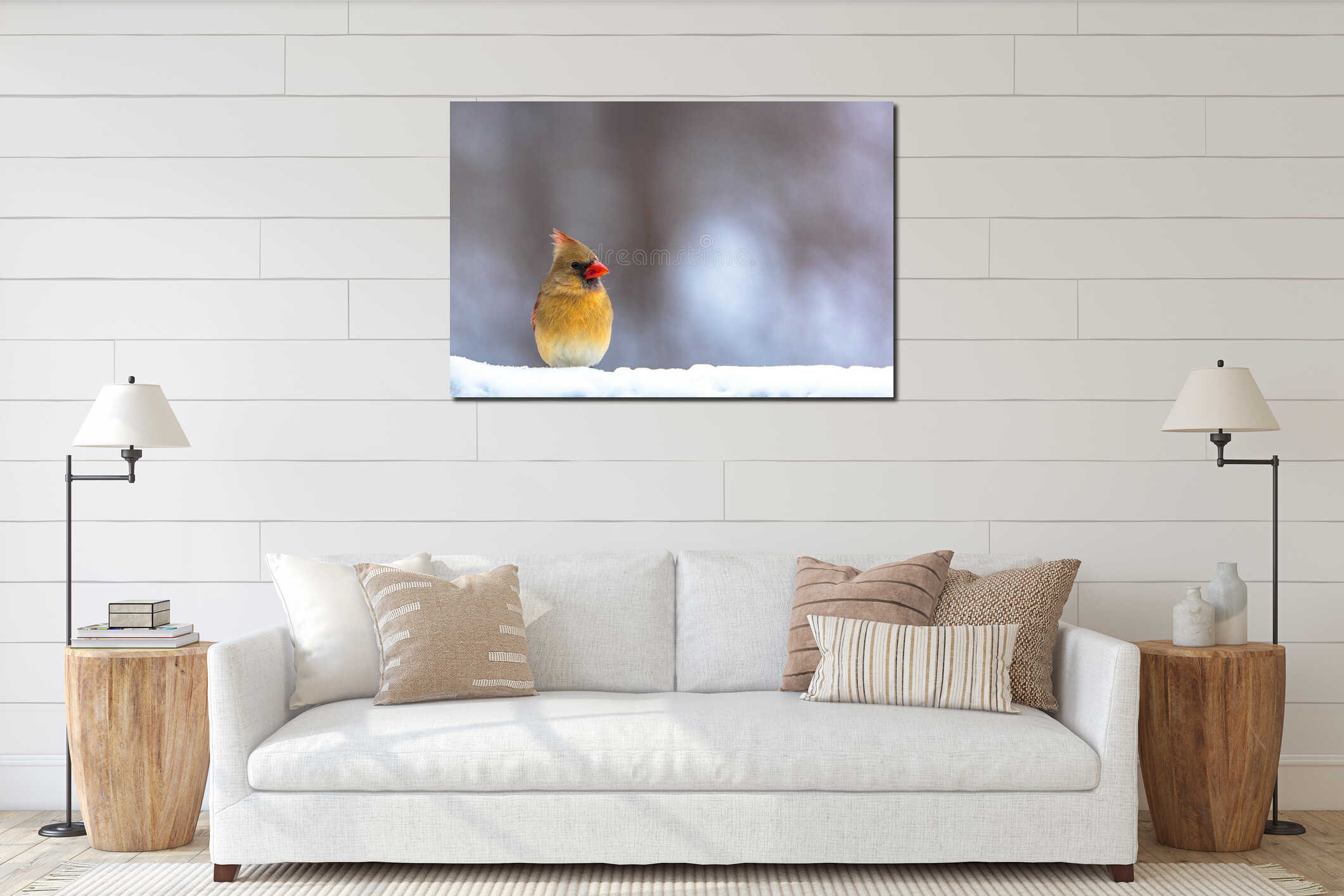 Female Cardinal in Snow interior mockup