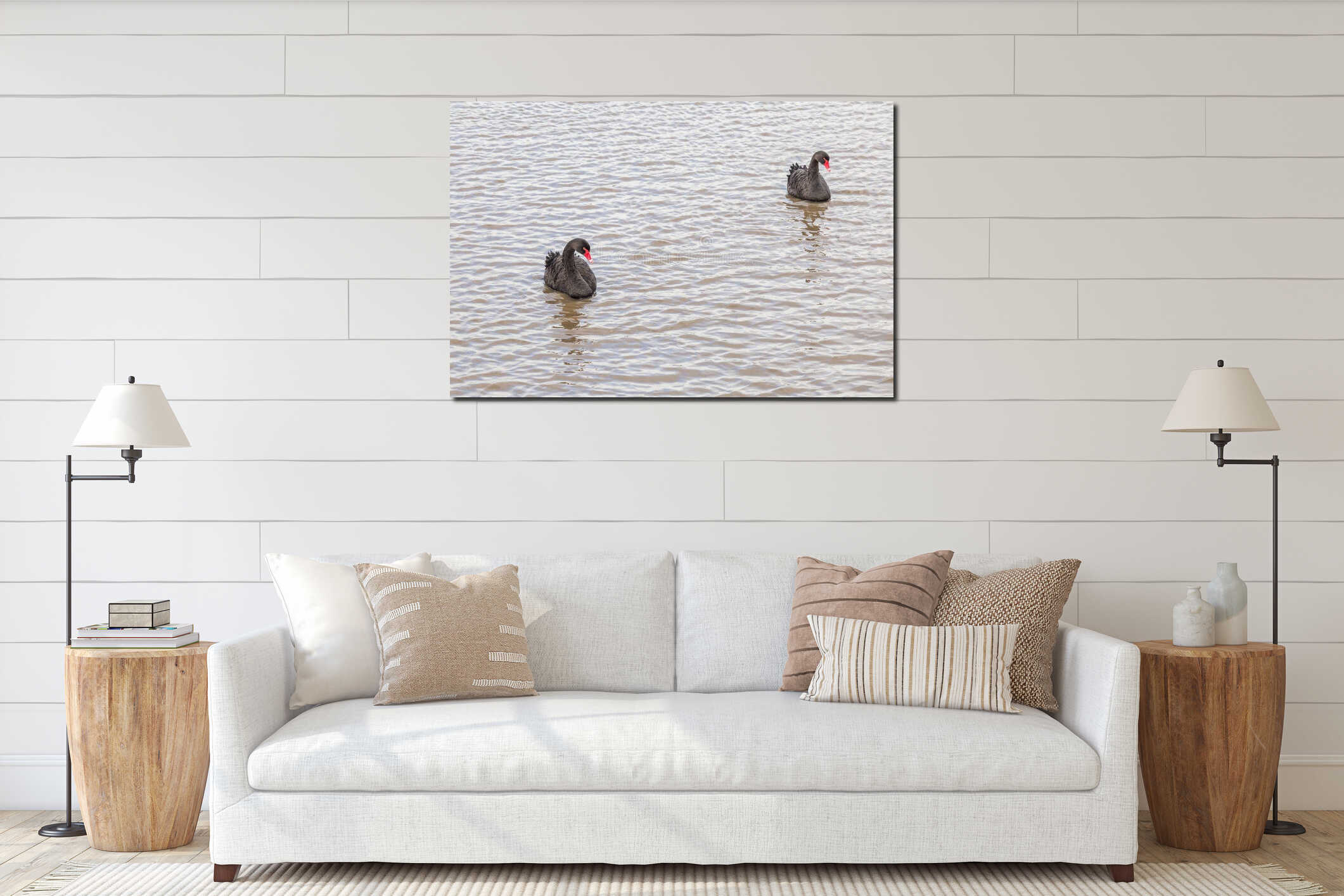 Two black swans cygnus atratus swimming with identical posture interior mockup
