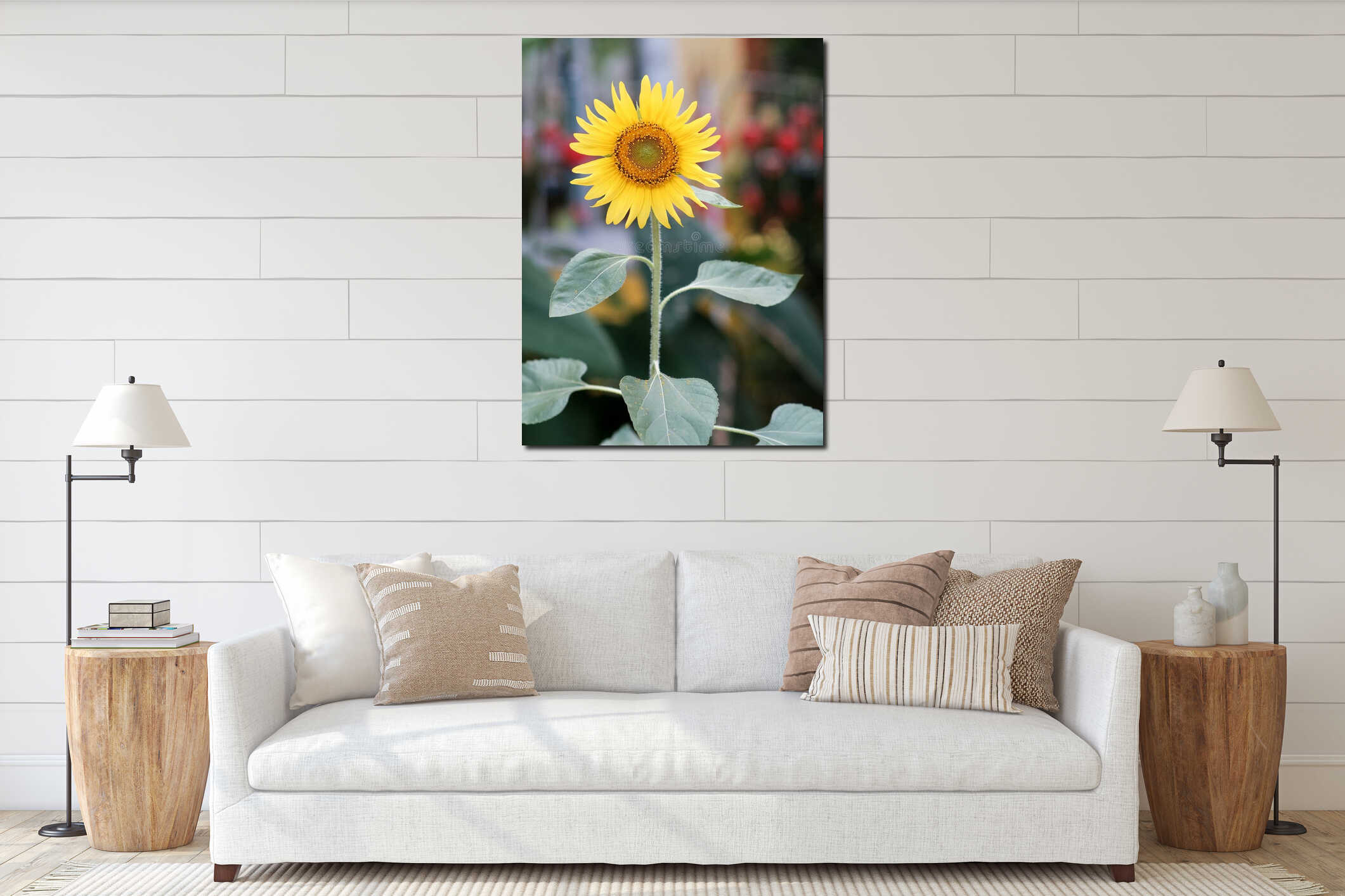 Bright yellow blooming sunflower. interior mockup