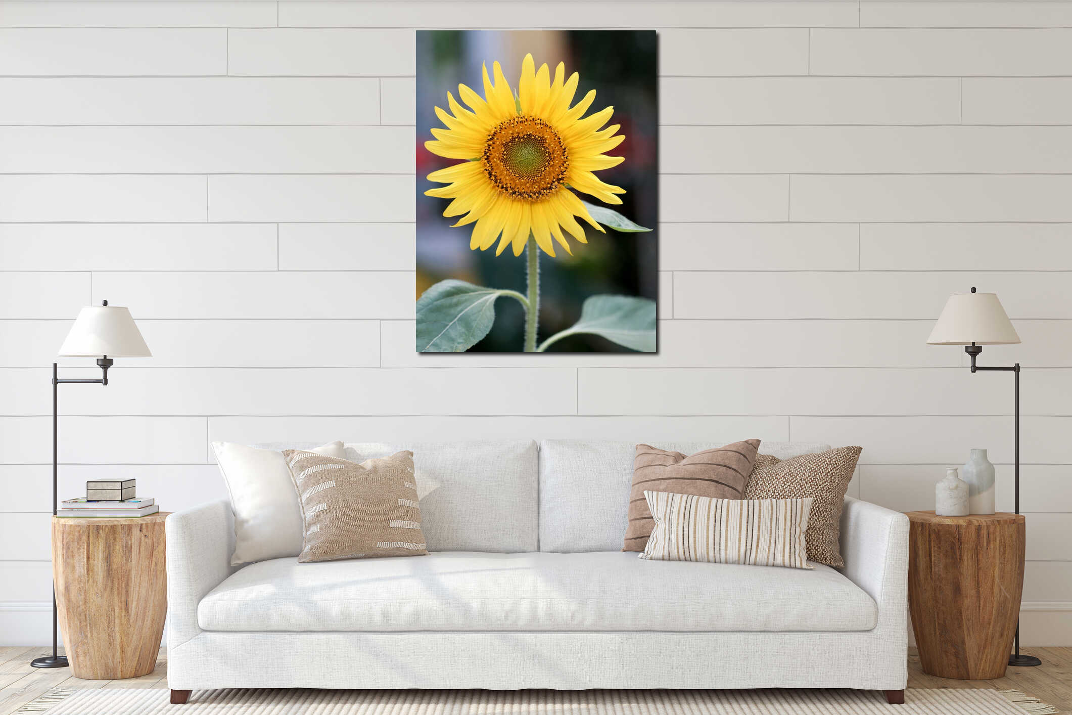 Bright yellow blooming sunflower. interior mockup