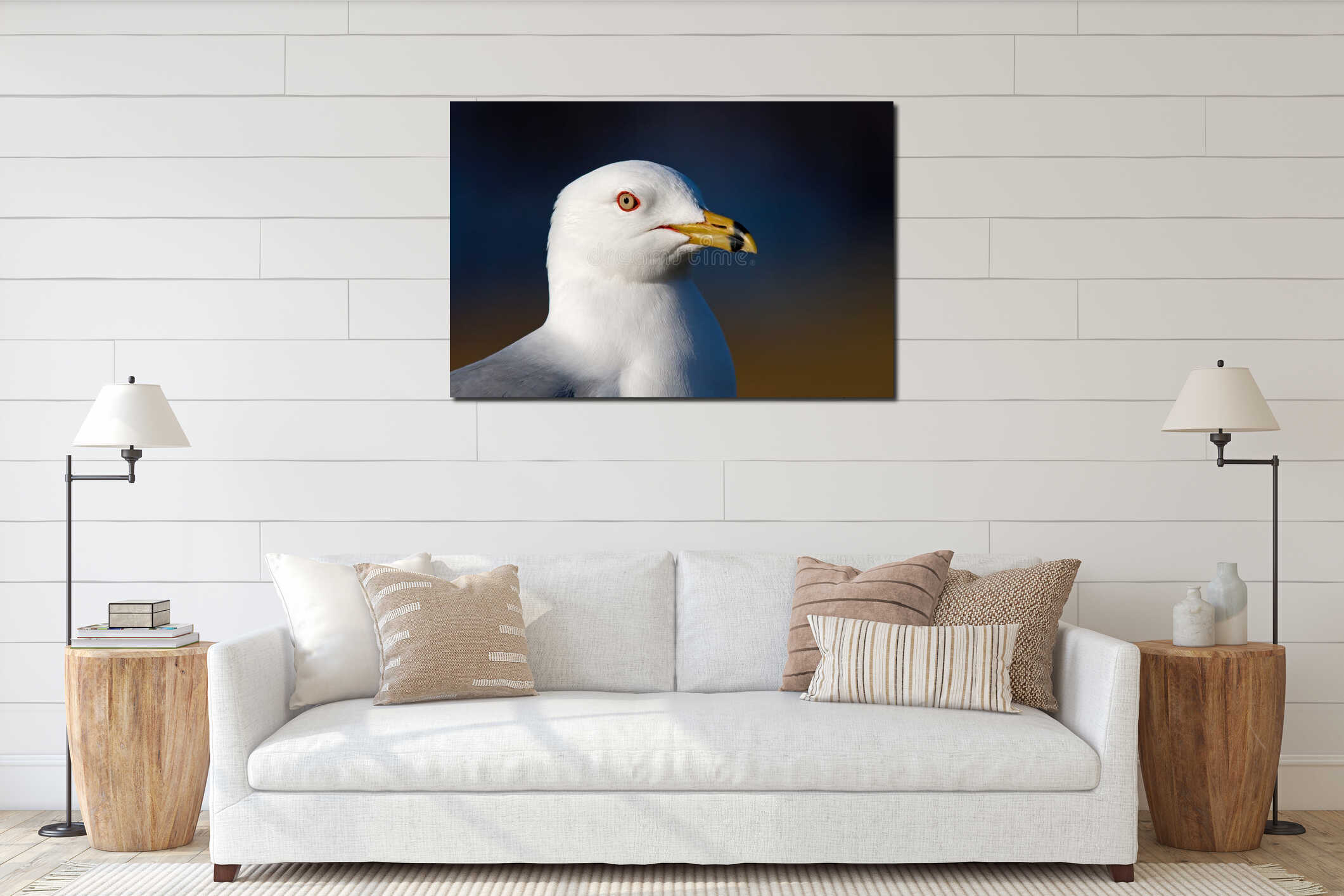 Ring-billed seagull interior mockup