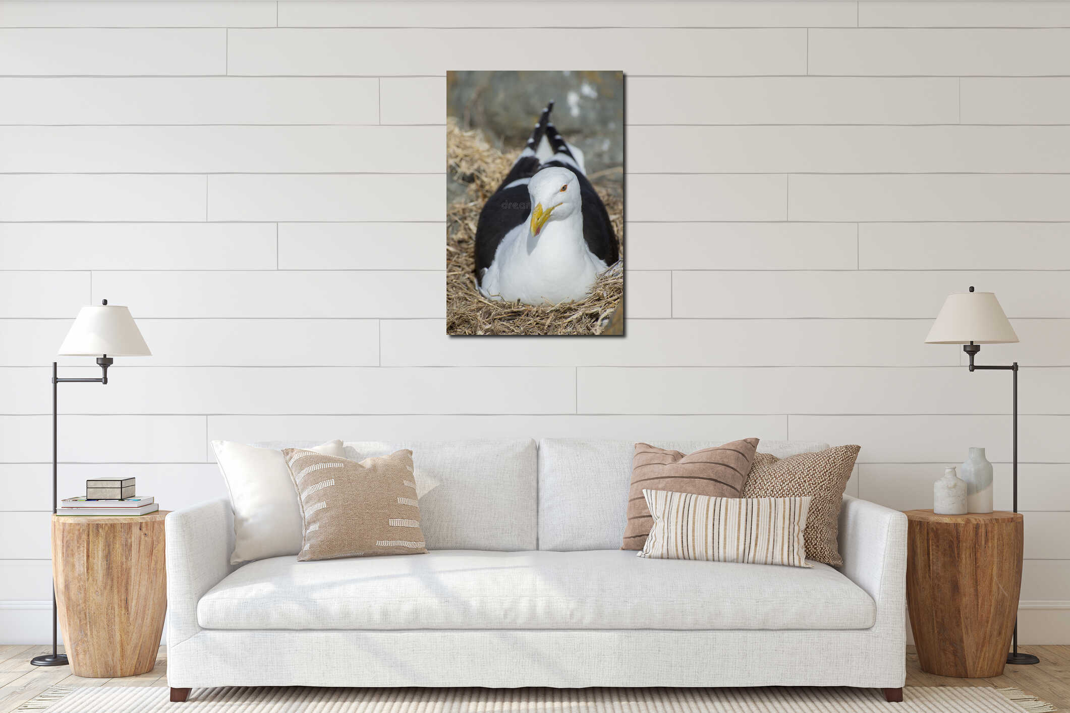 Seagull Nesting in the Rocks interior mockup