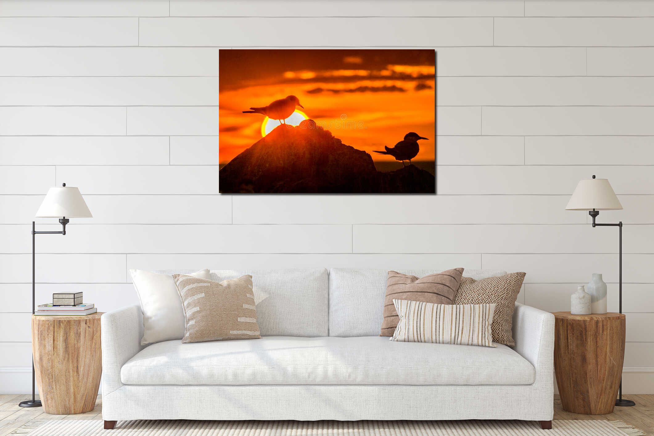 Silhouette of Common Terns on red sunset background interior mockup