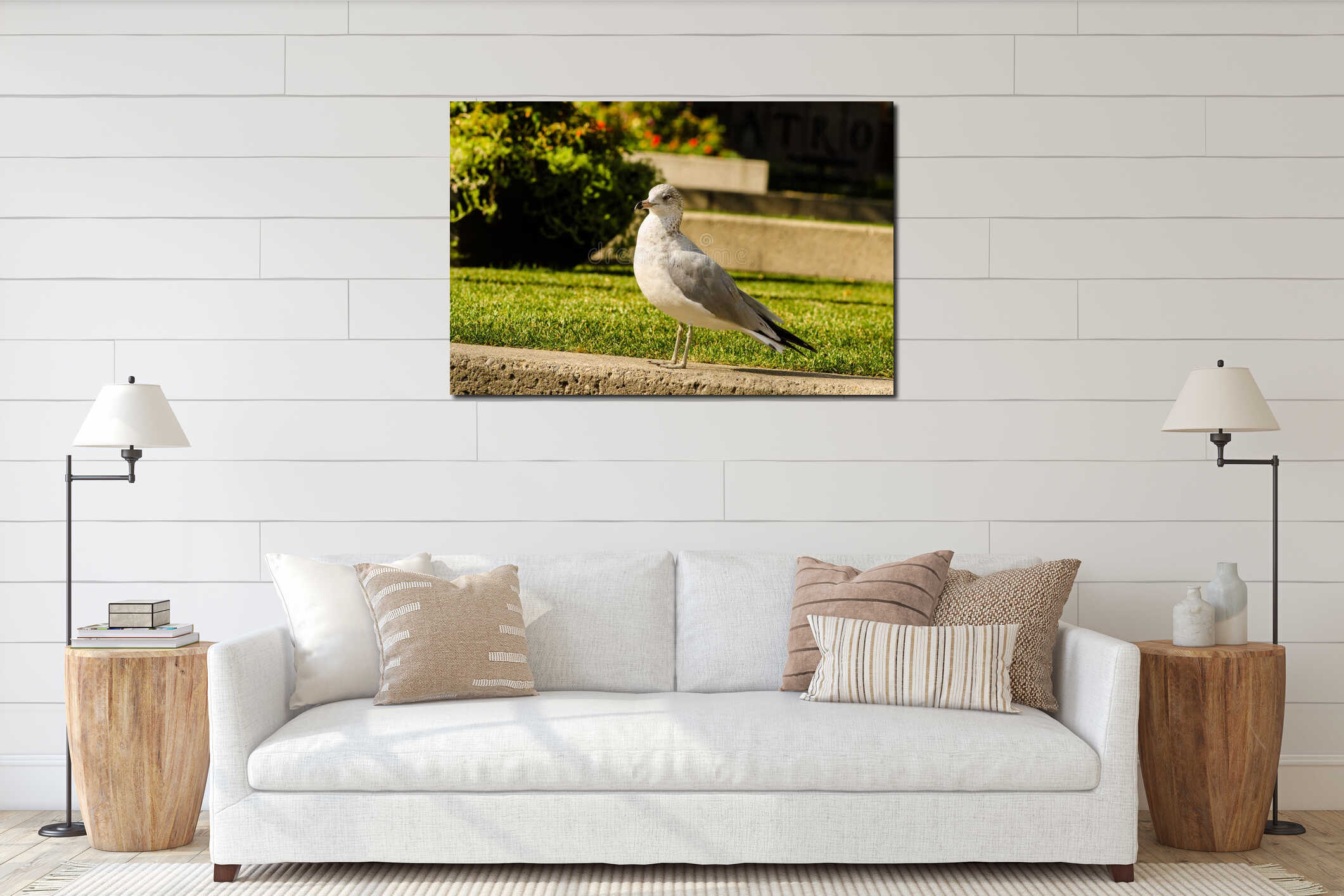 Lone seagull standing interior mockup