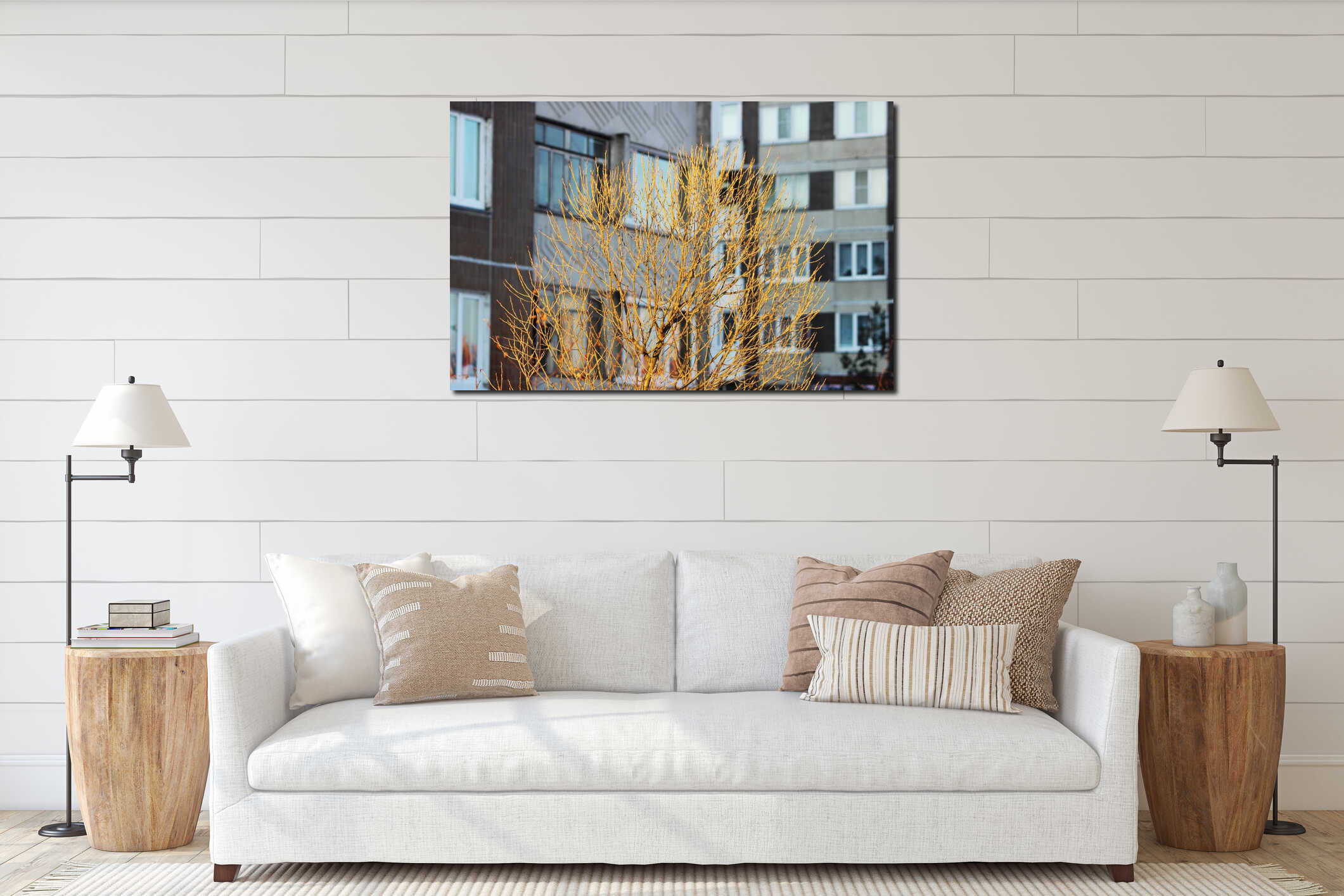 young tree glows in the light of the setting sun on a winter city houses. interior mockup