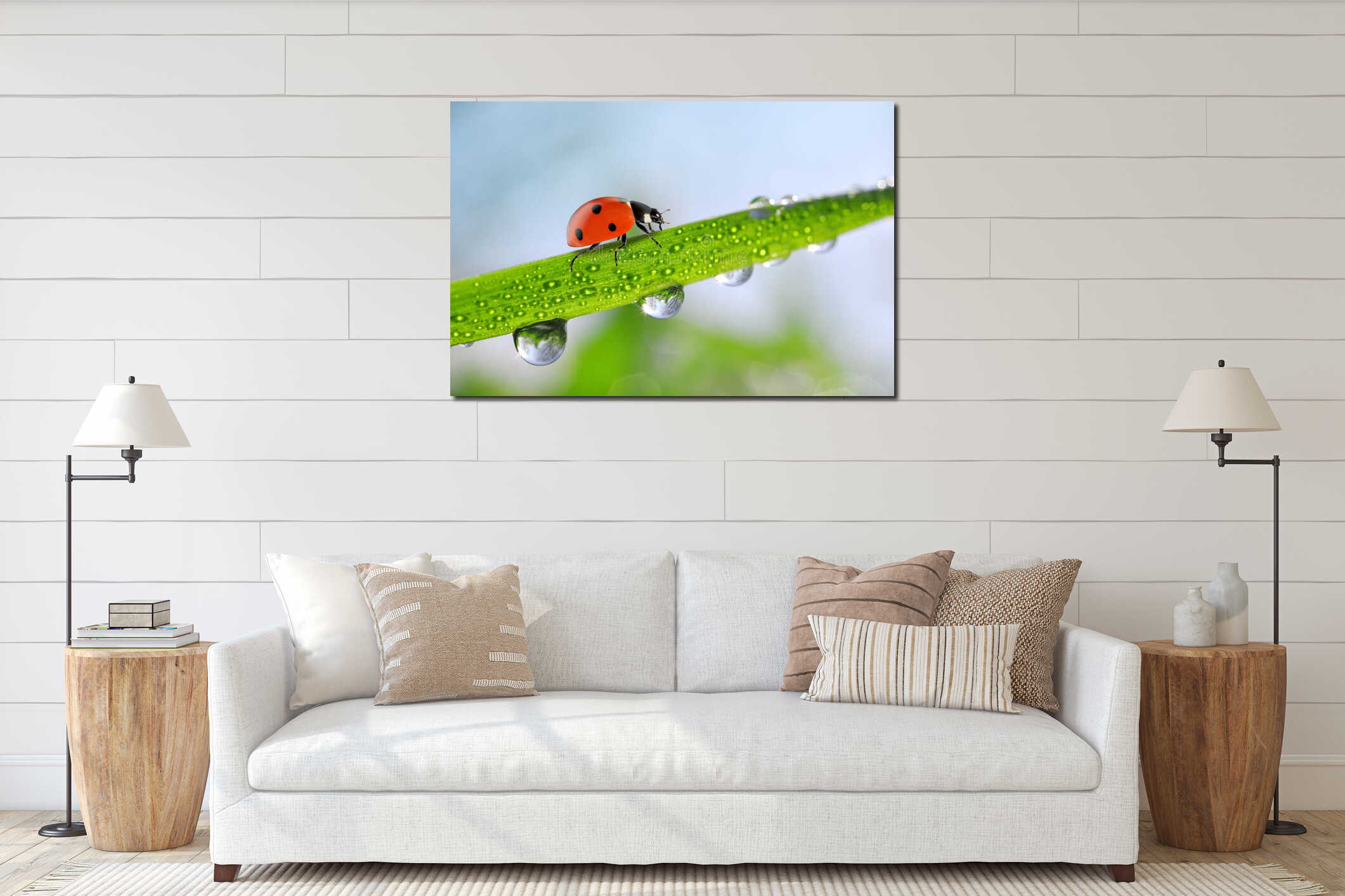 Fresh green spring grass with dew drops and ladybug interior mockup