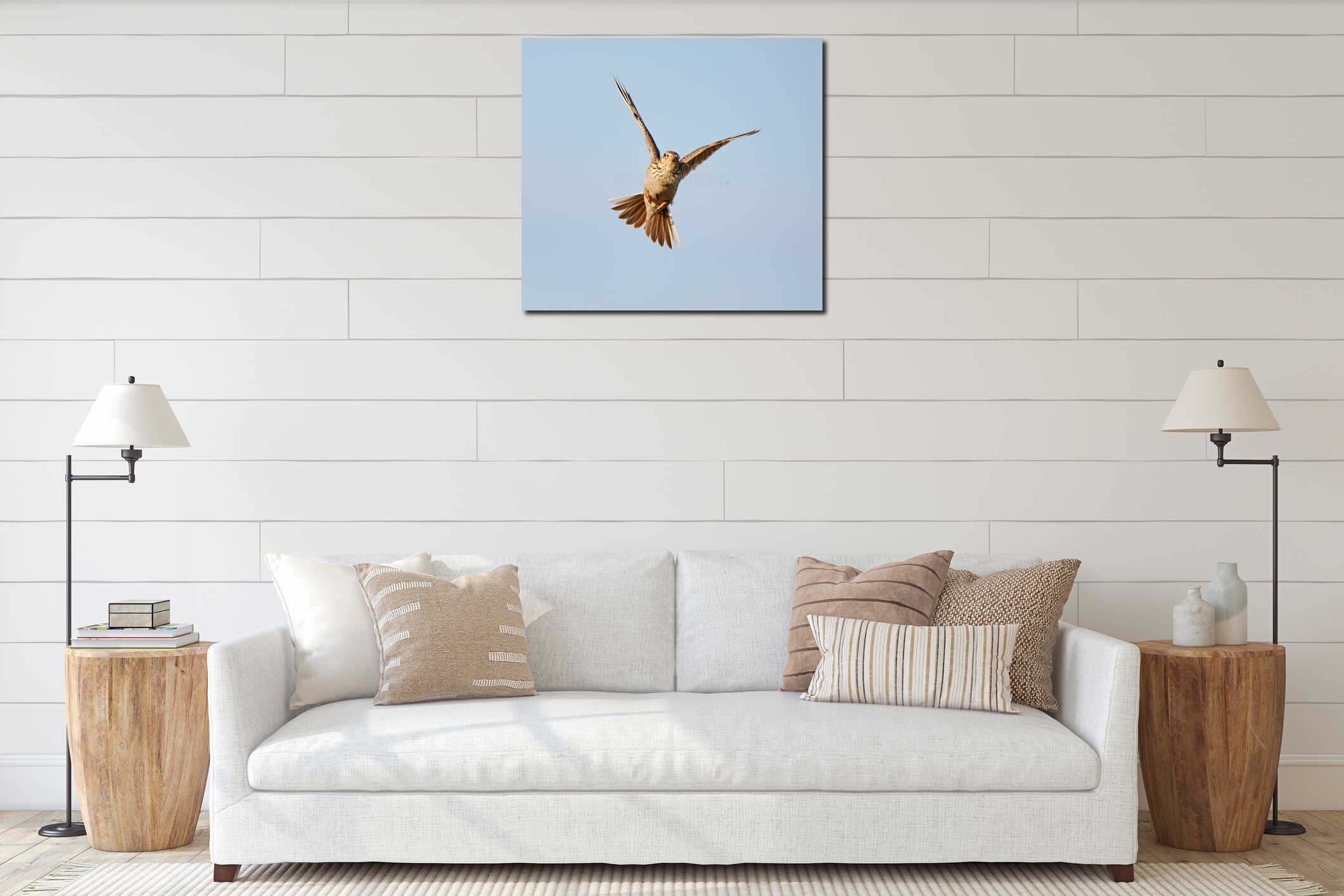 Woodlark in flight interior mockup