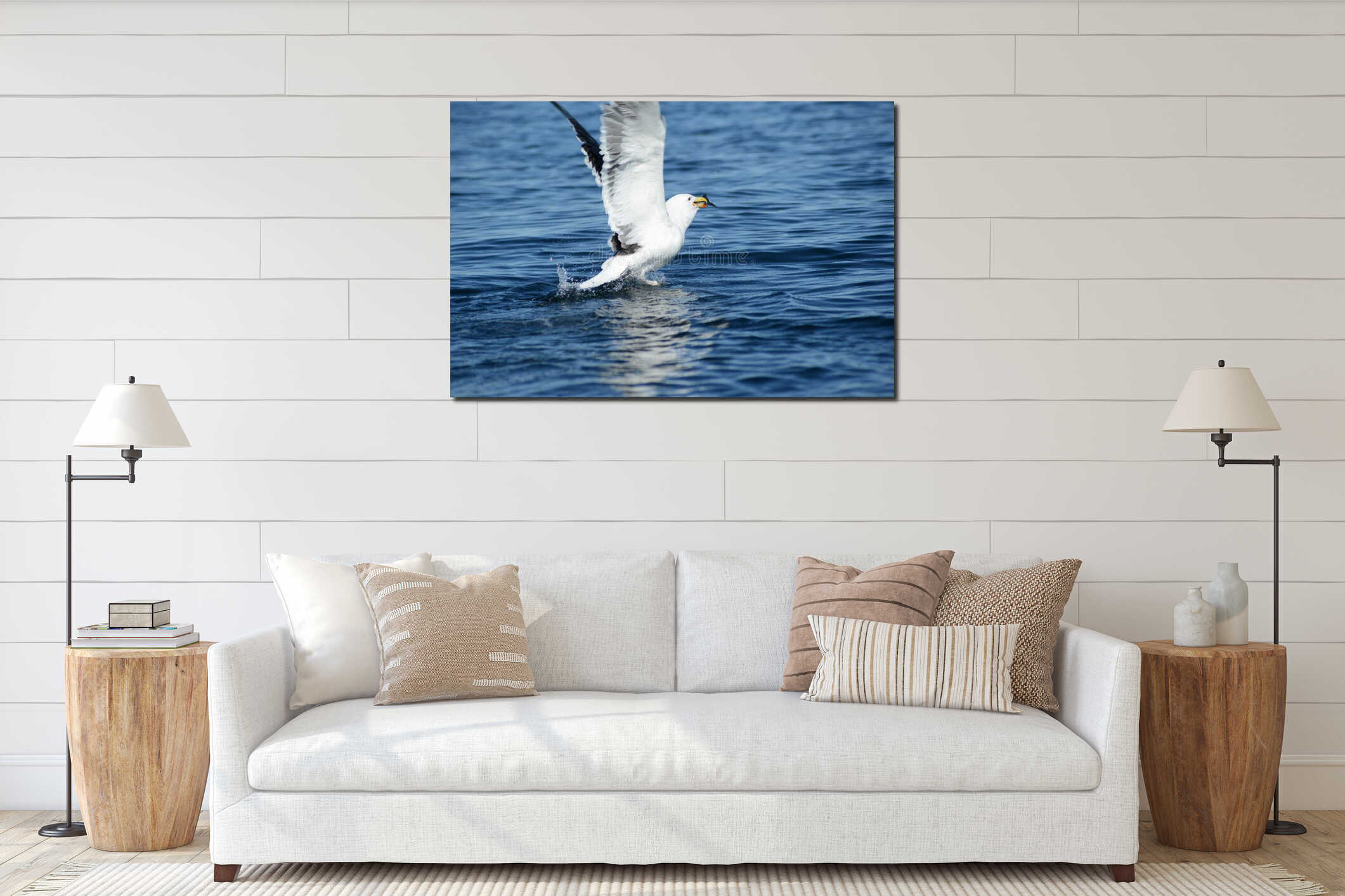 Seagull Fishing interior mockup