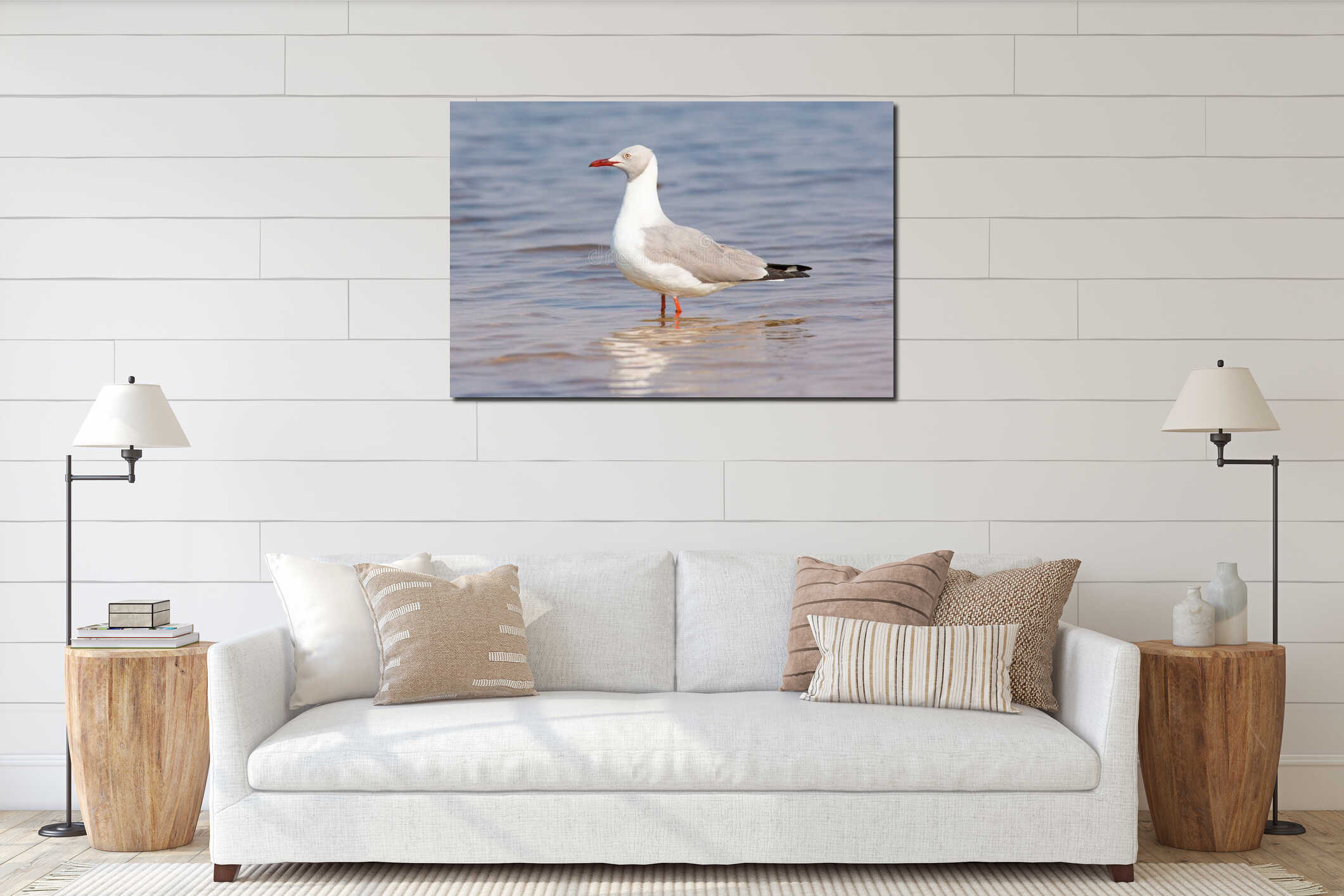 Grey headed gull standing in river interior mockup