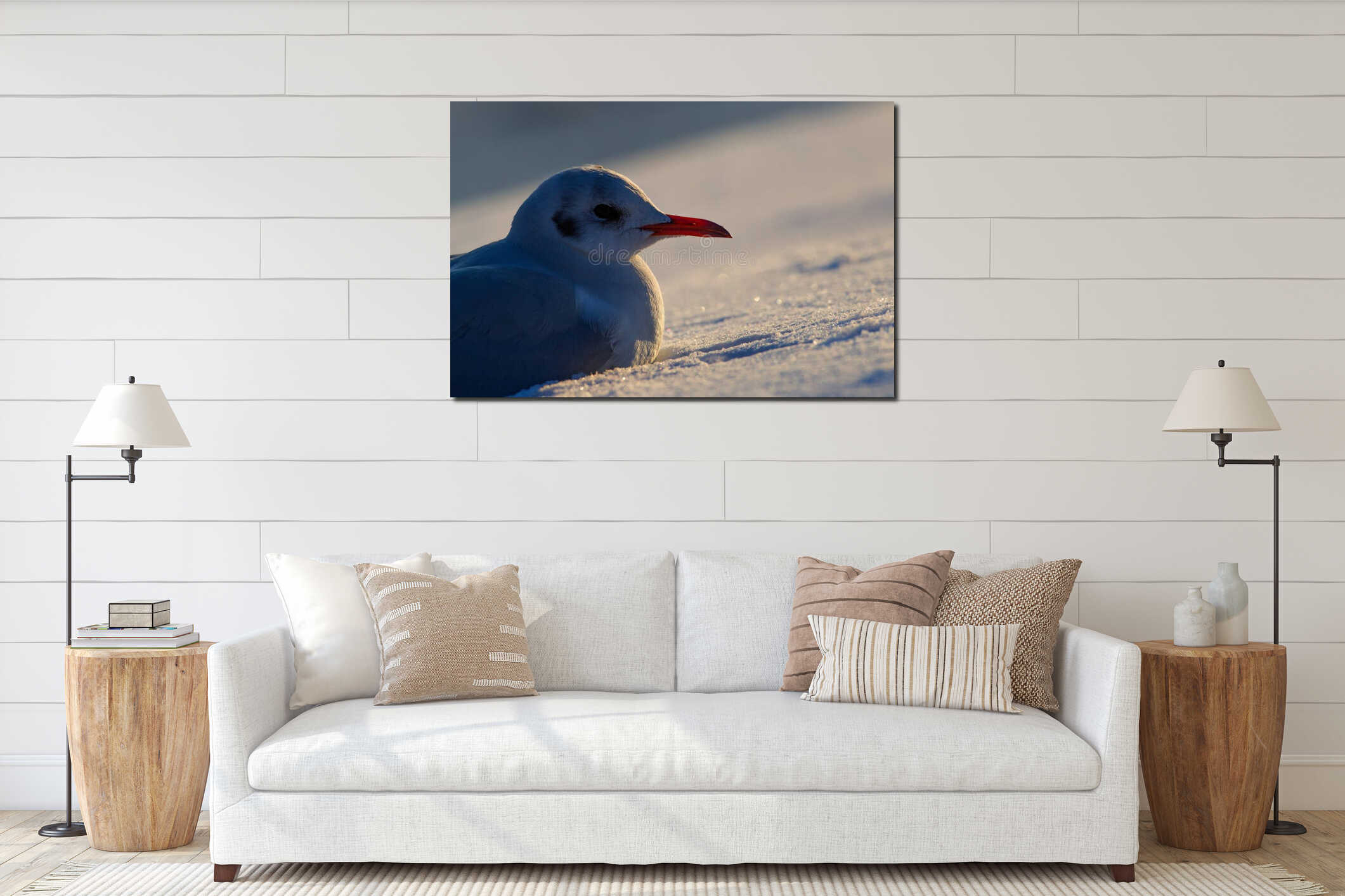 A seagull standing on the snow at sunset interior mockup