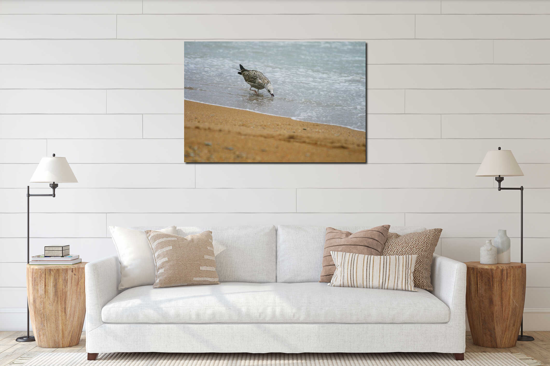 Nestling Seagull stands in the water and drink on the seafront interior mockup