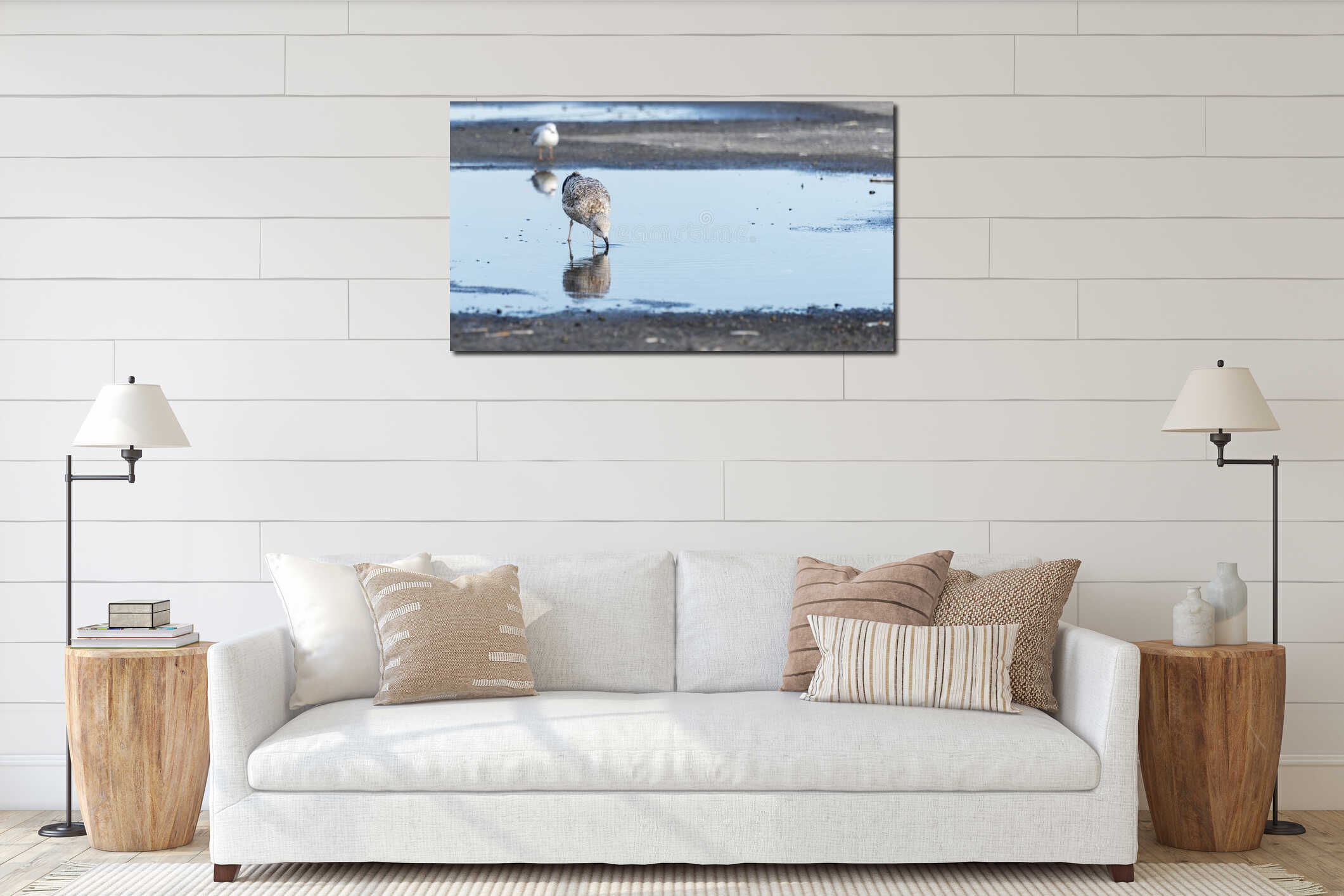 Young seagull drinking water interior mockup