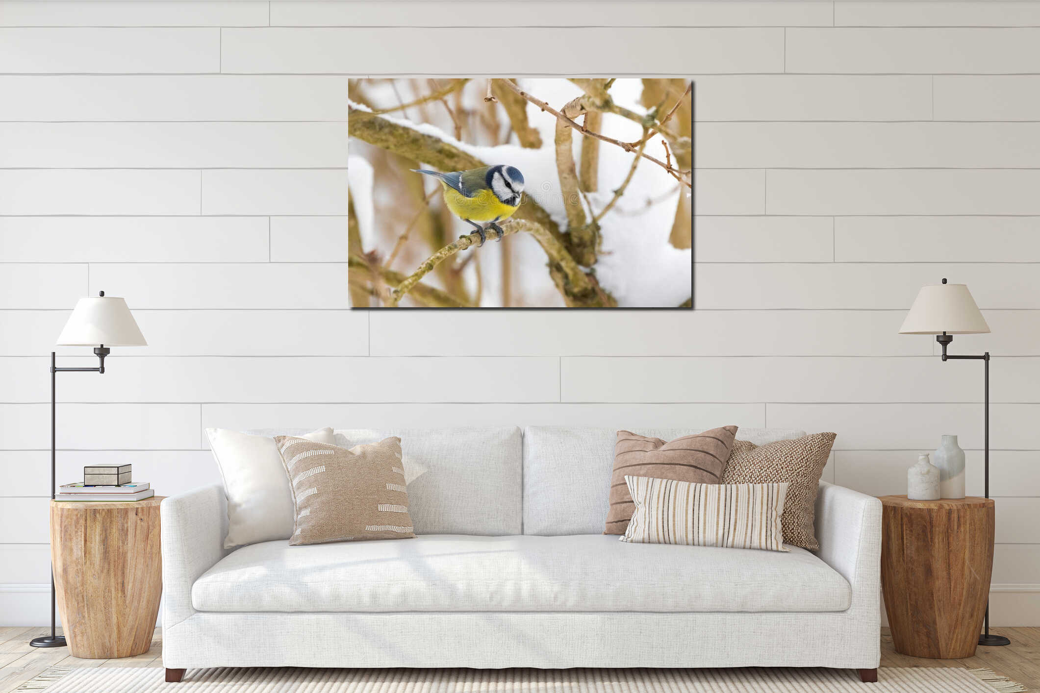 Eurasian Blue Tit bird in blue yellow perching on tree branch al interior mockup