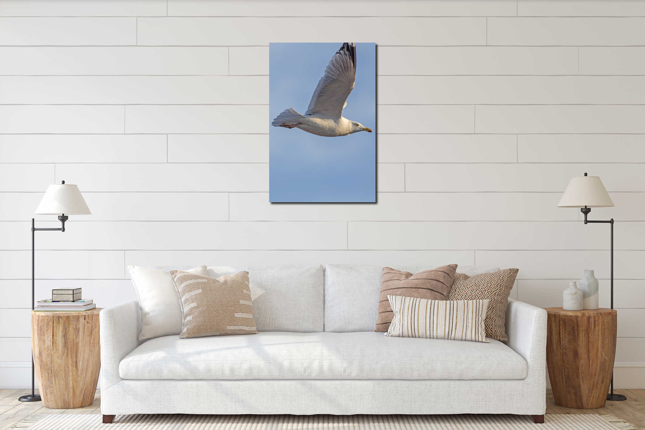 Herring Gull close-up in flight. Seagull flying side view interior mockup