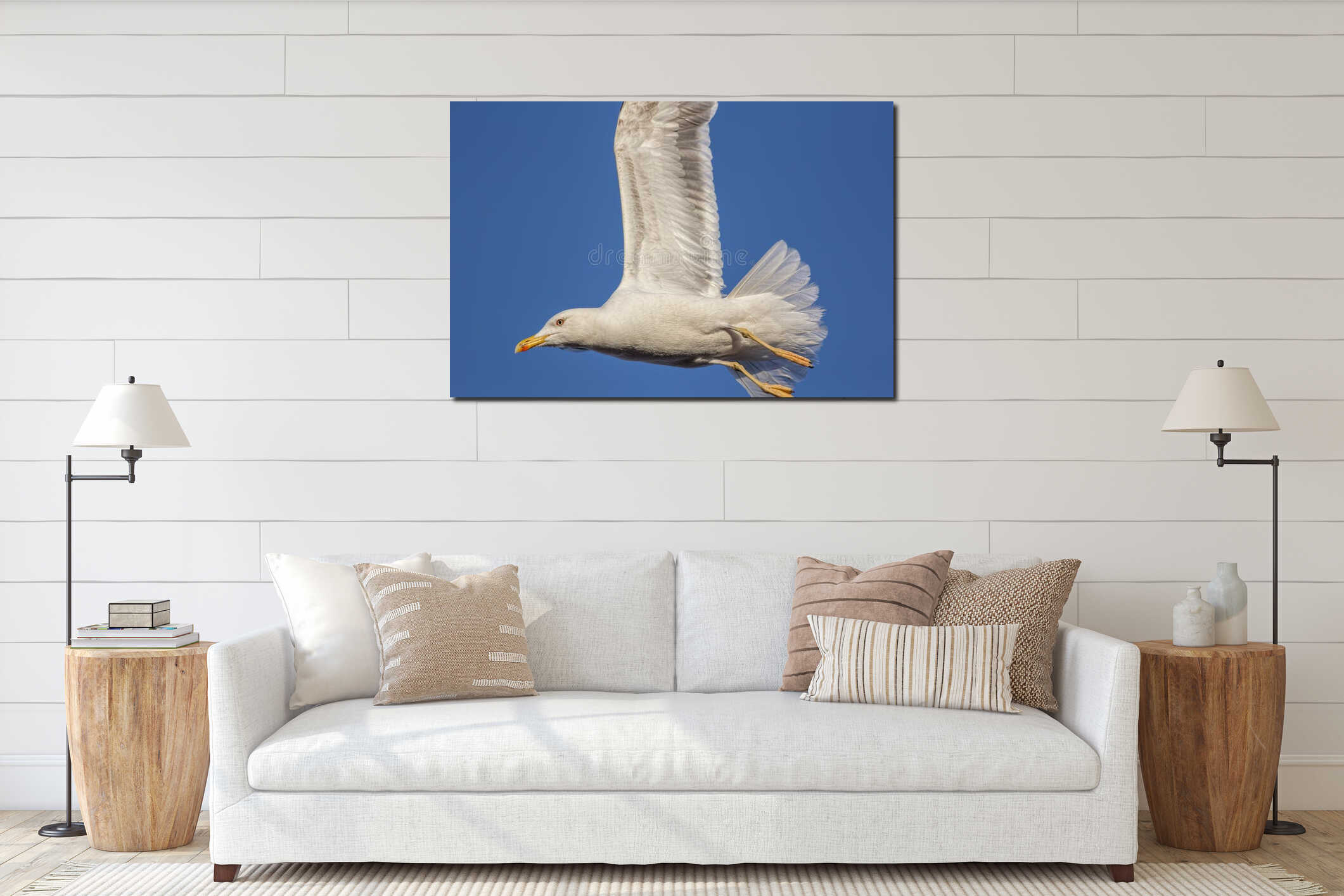 Close-up black-backed seagull in flight with wings up interior mockup