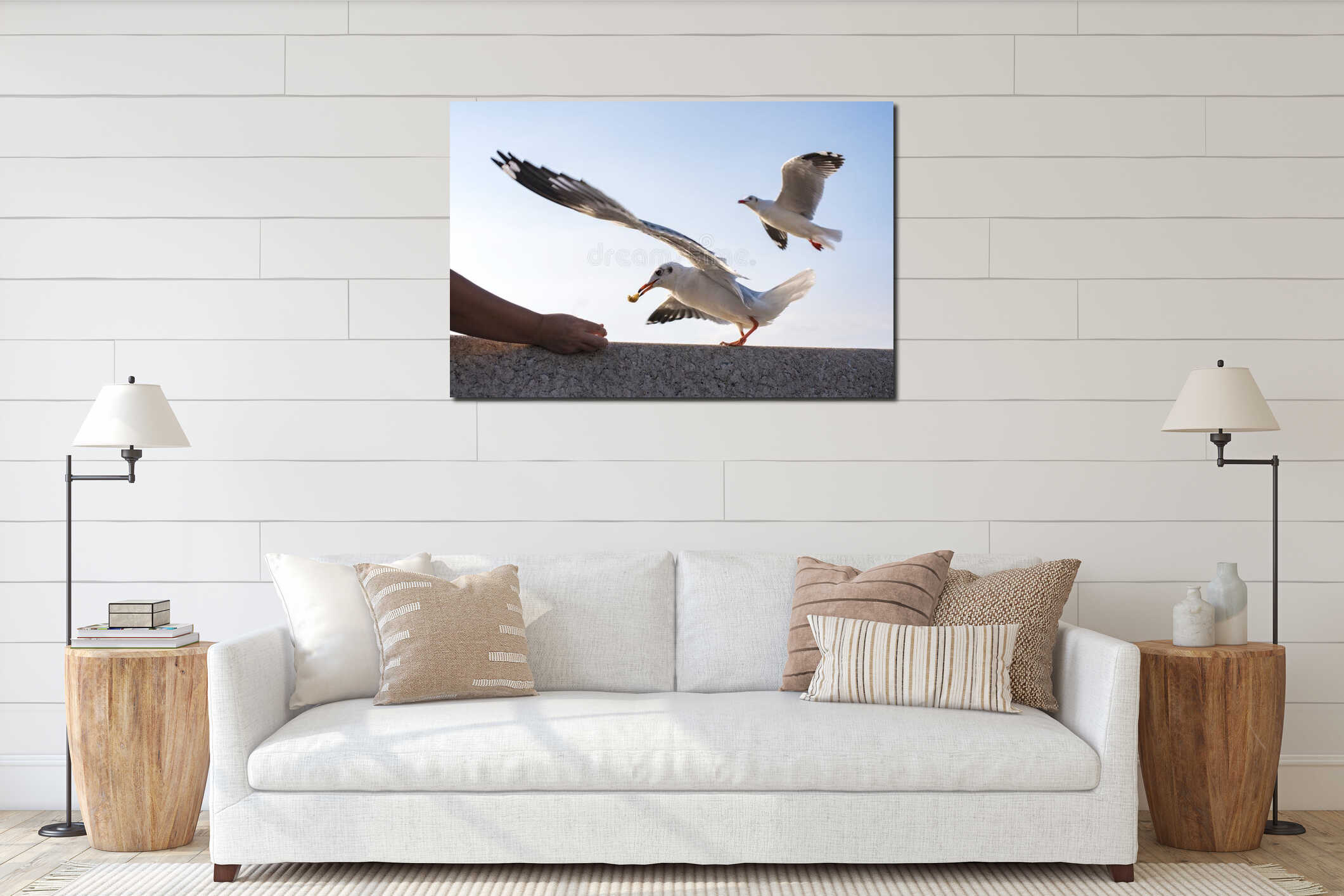 Action Feeding Seagull at thailand. interior mockup