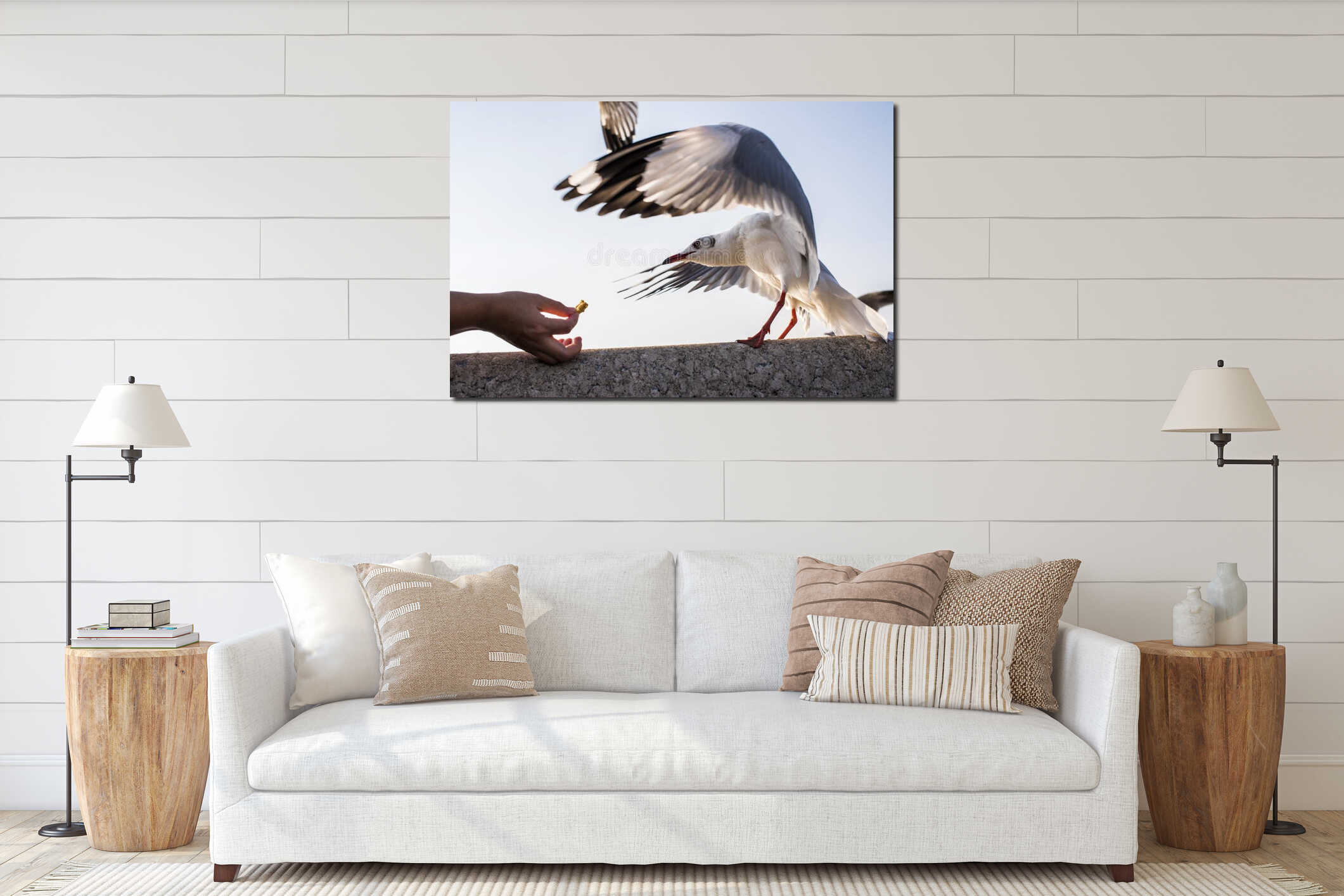 Action Feeding Seagull at thailand. interior mockup