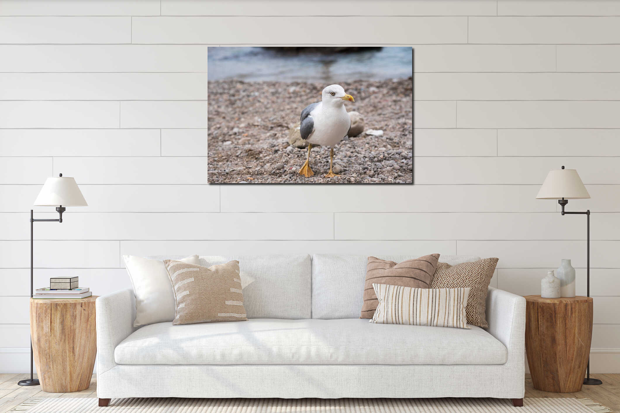 Seagull on rocky beach interior mockup