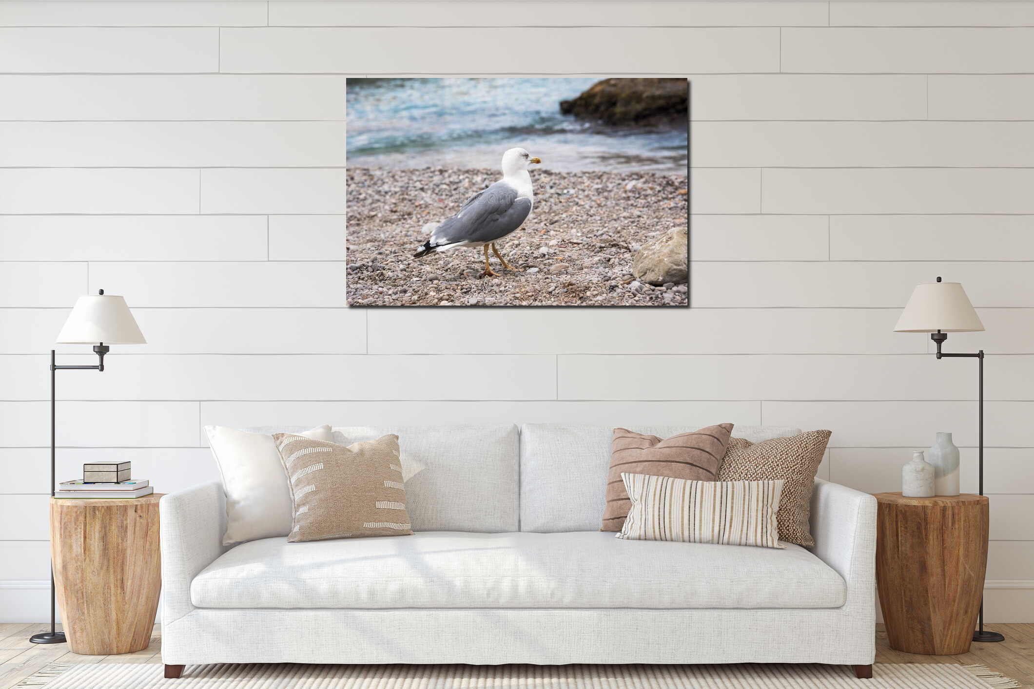 Seagull on rocky beach interior mockup