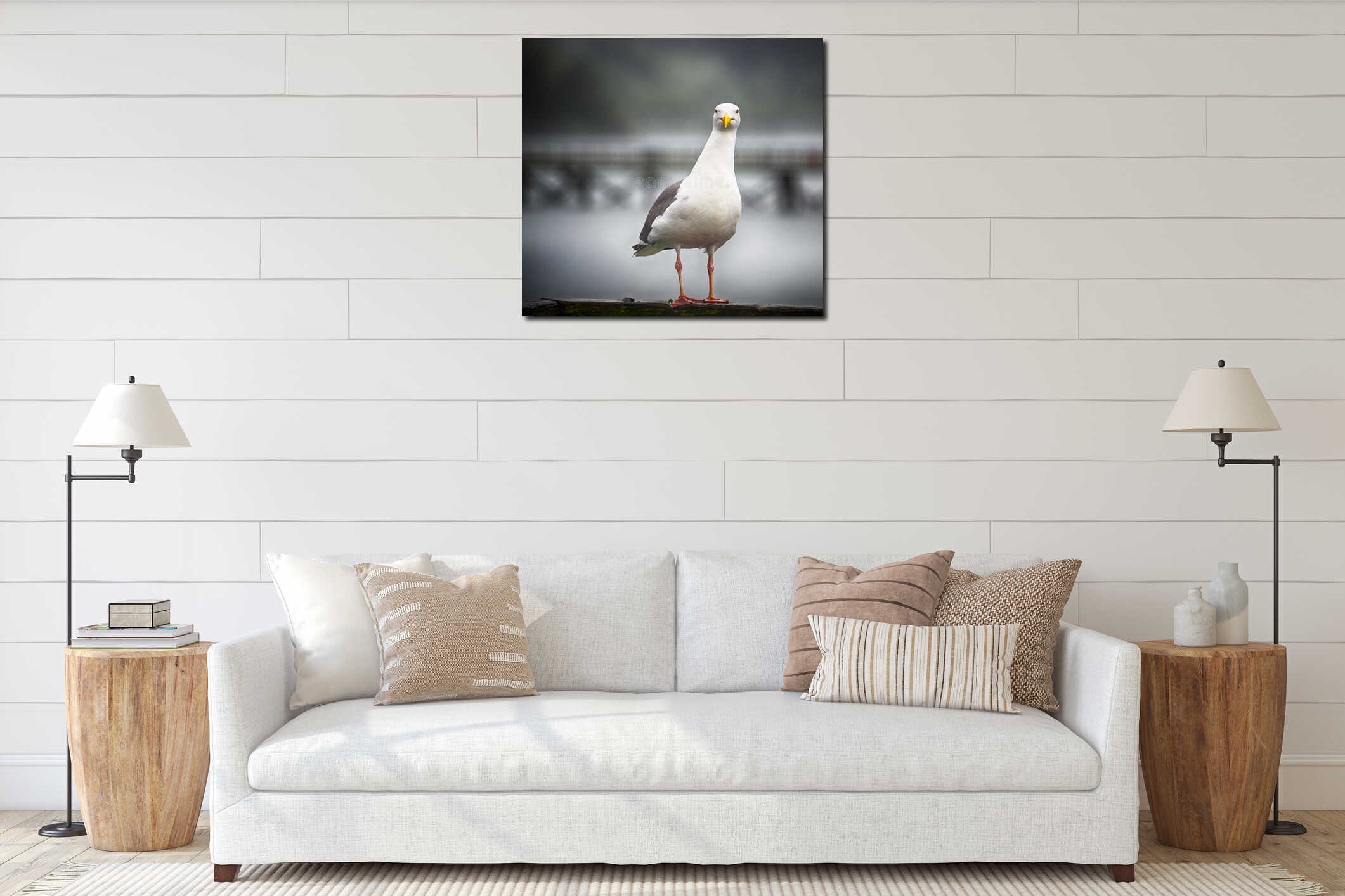 Seagull looking curiously toward camera interior mockup