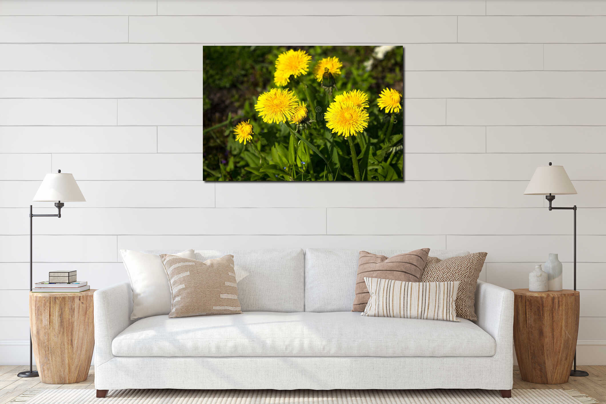 Yellow flower dandelions in spring bloom outdoors in nature. interior mockup