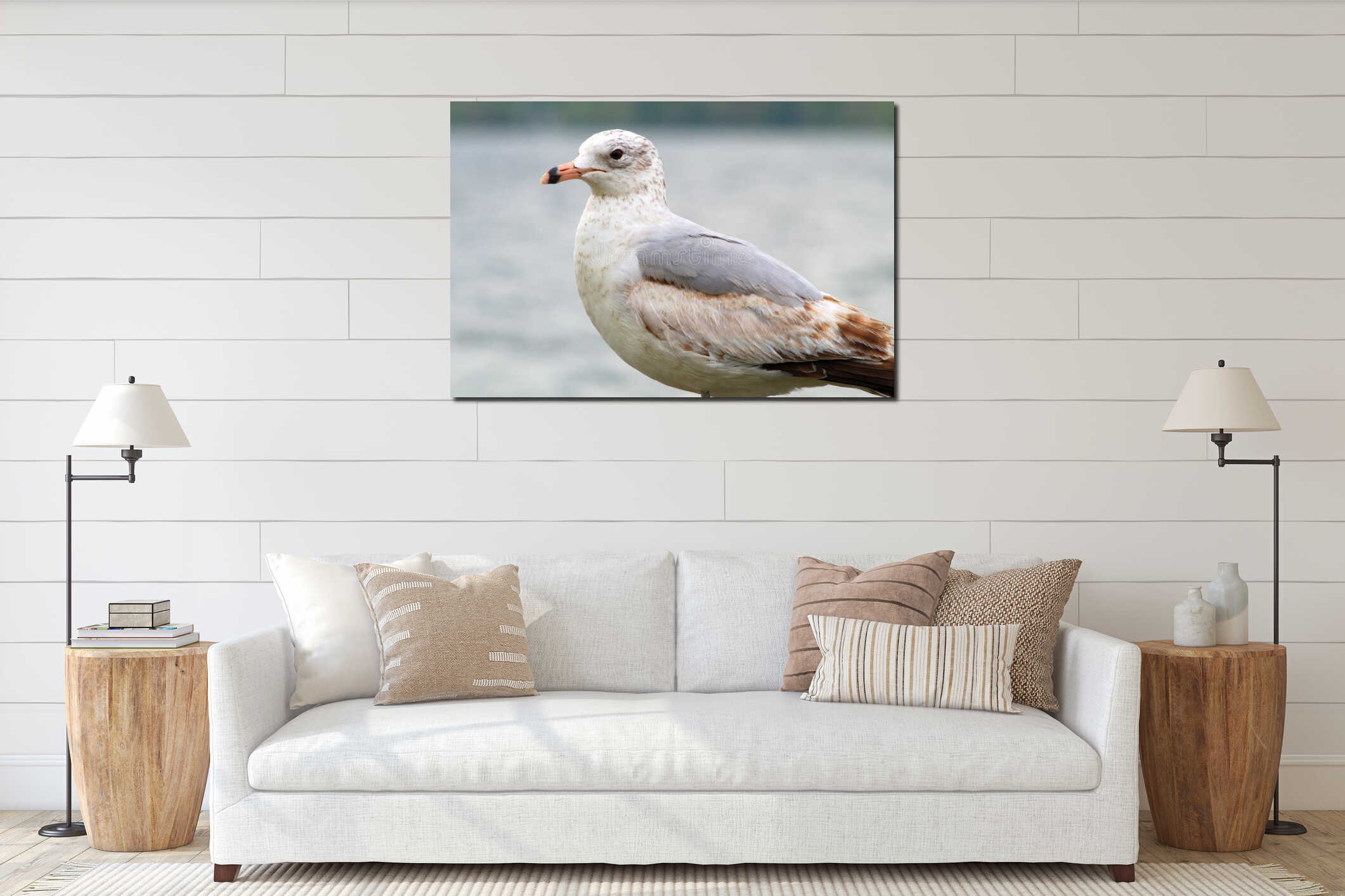 White seagull bird close-up portrait face interior mockup