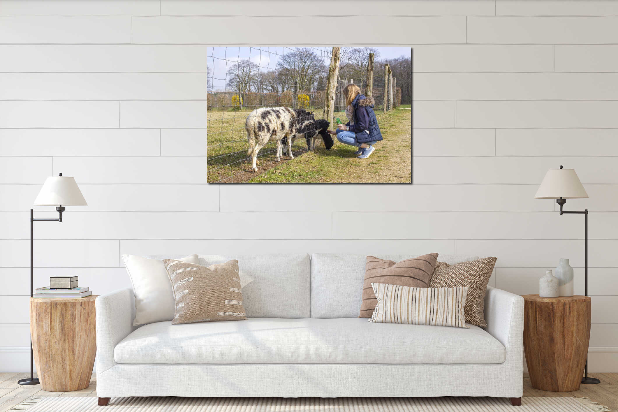 Young girl feeding sheep at zoo interior mockup