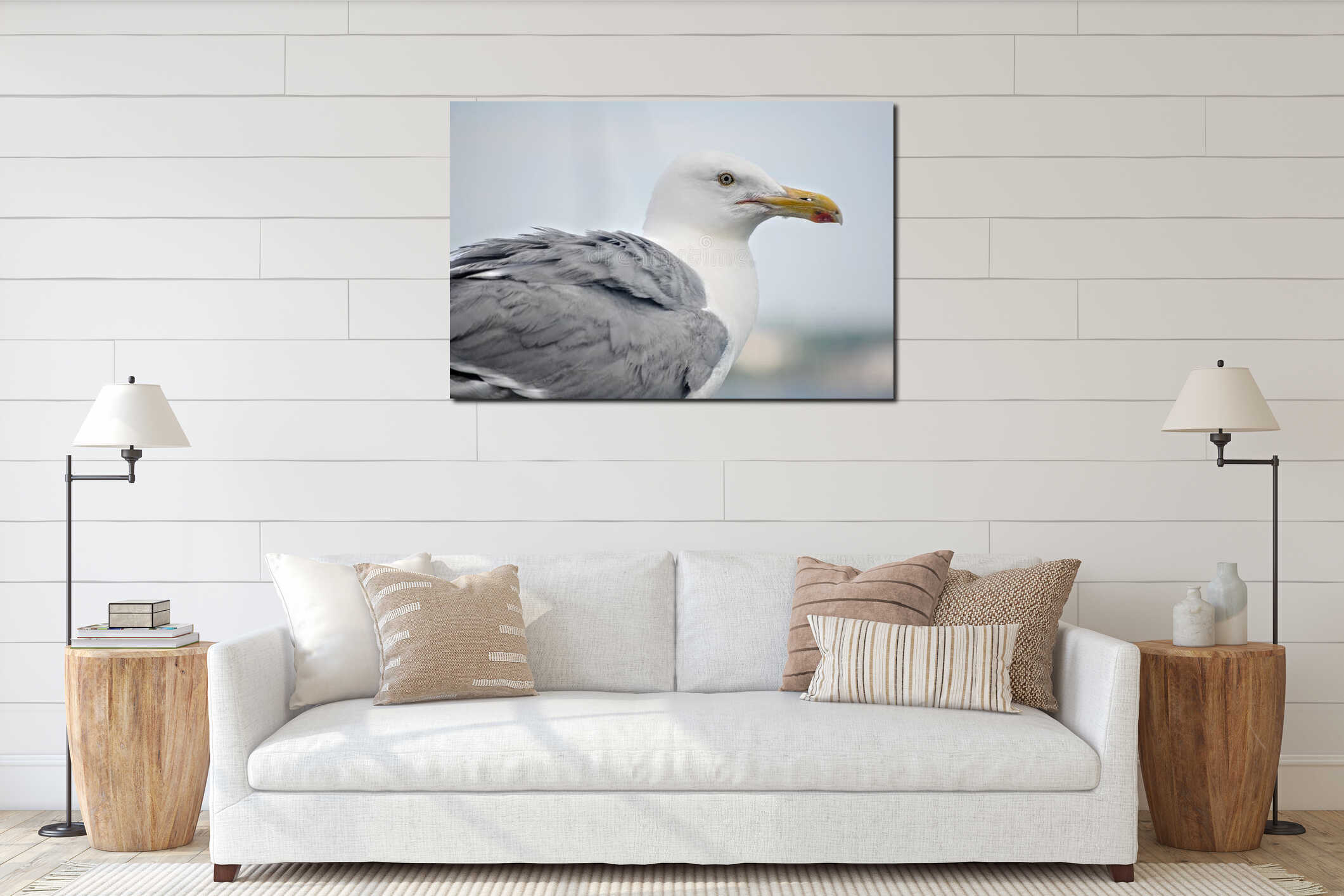 Up close seagull at beach interior mockup