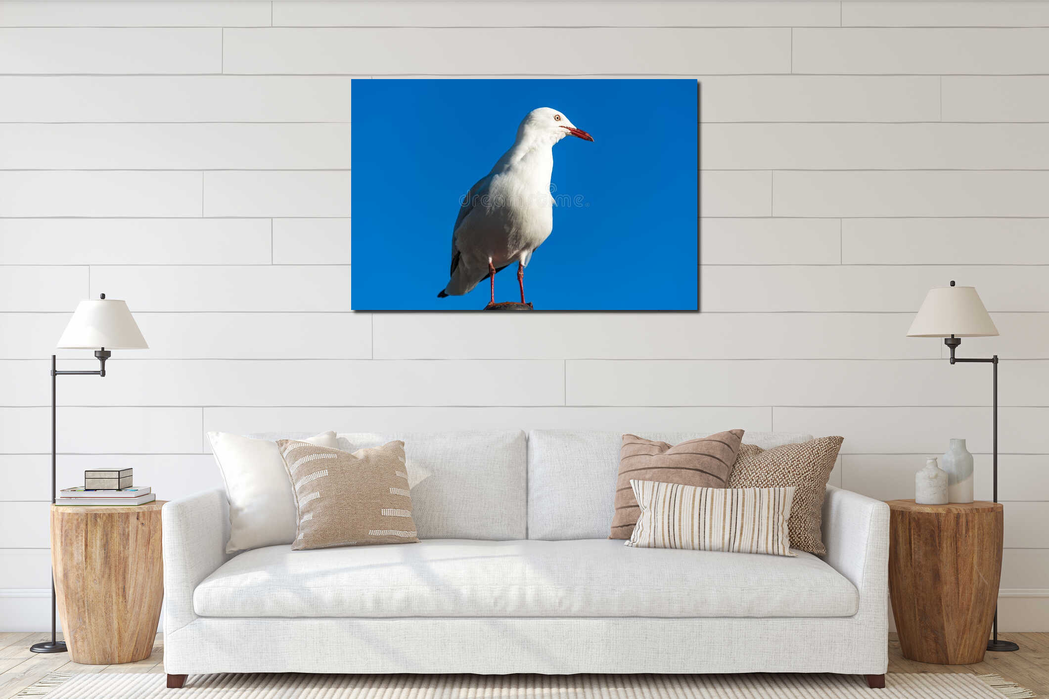 Silver gull bird against blue sky on the background interior mockup