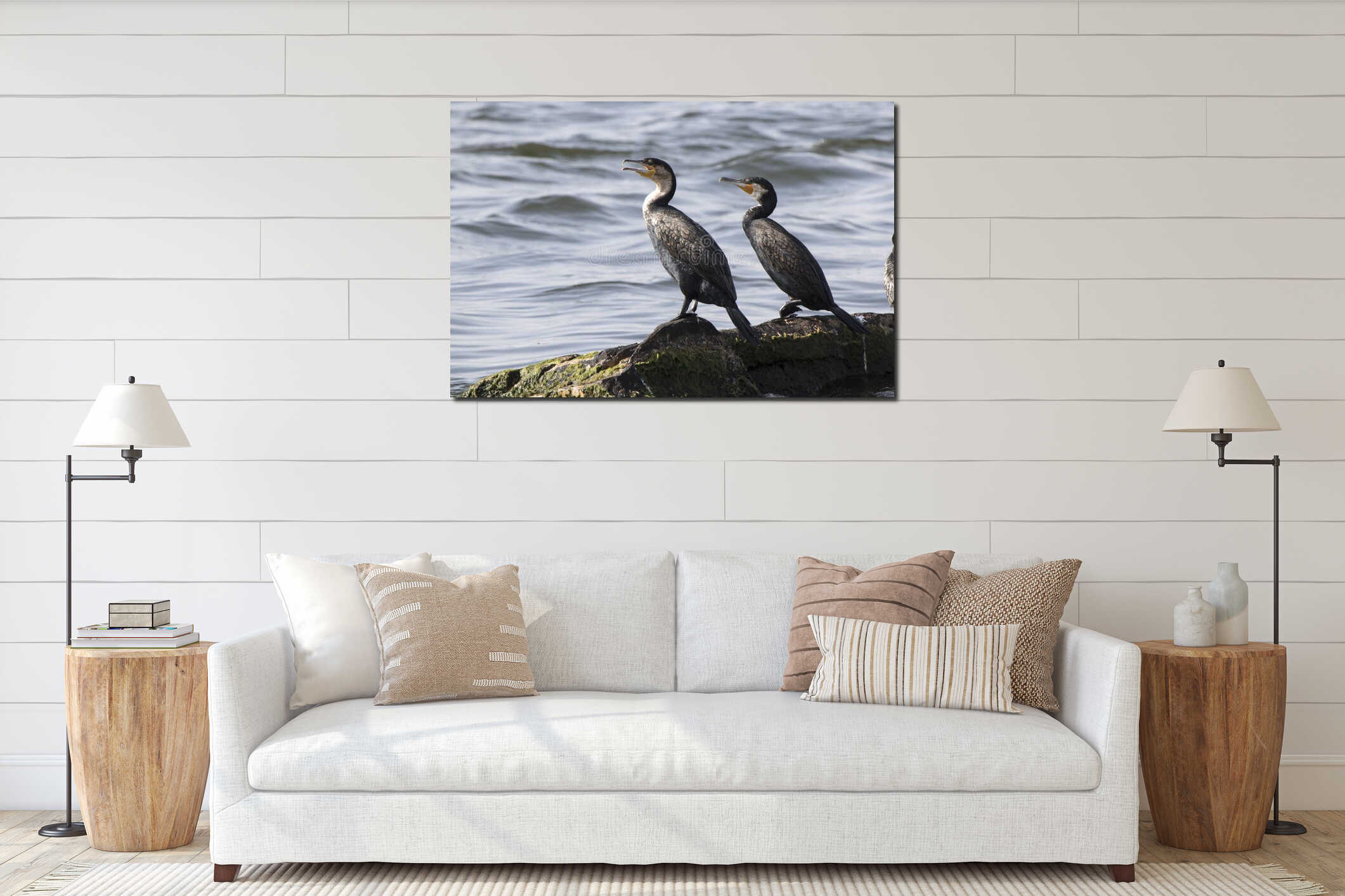 Two great cormorants sitting on rocks Lake Victoria interior mockup