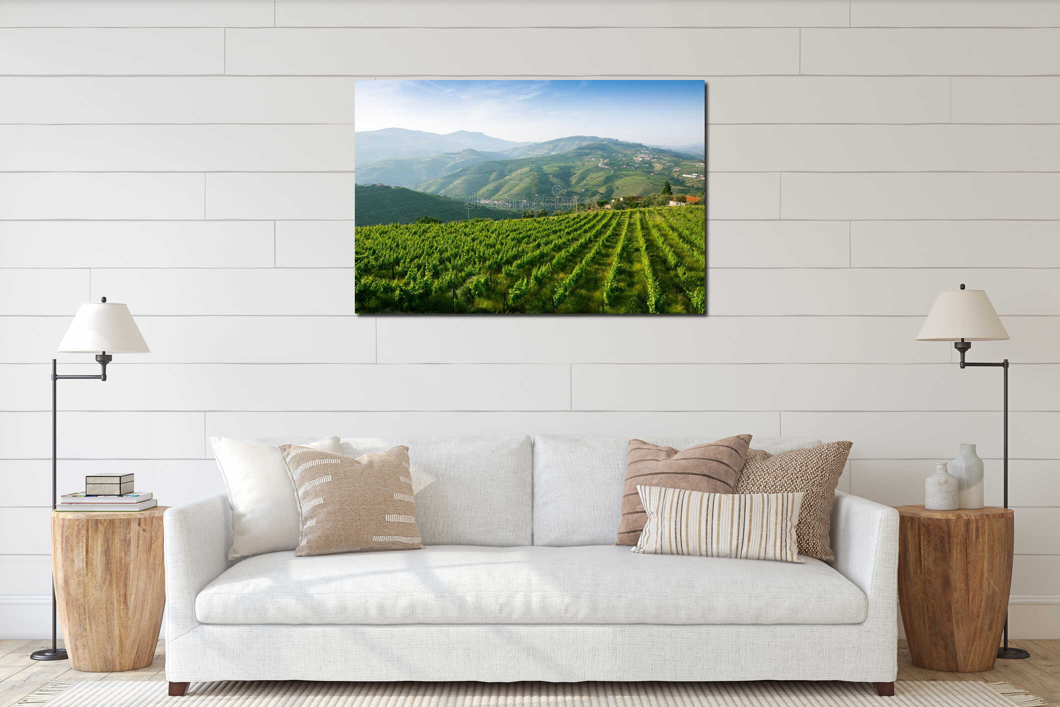 Vineyards on the green hills. Douro Valley interior mockup