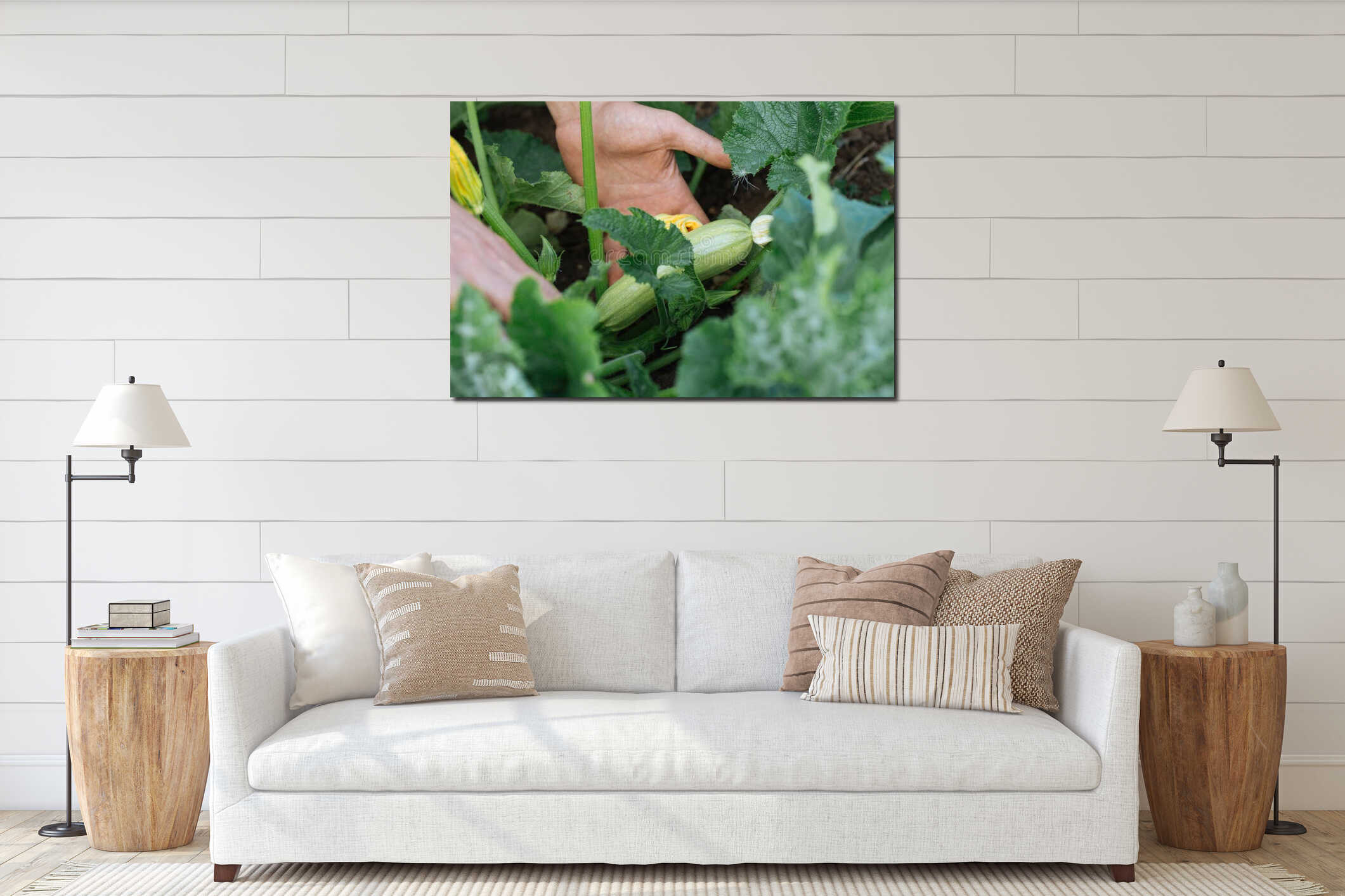 Close-up hands of male farmer checking growing young squash. interior mockup