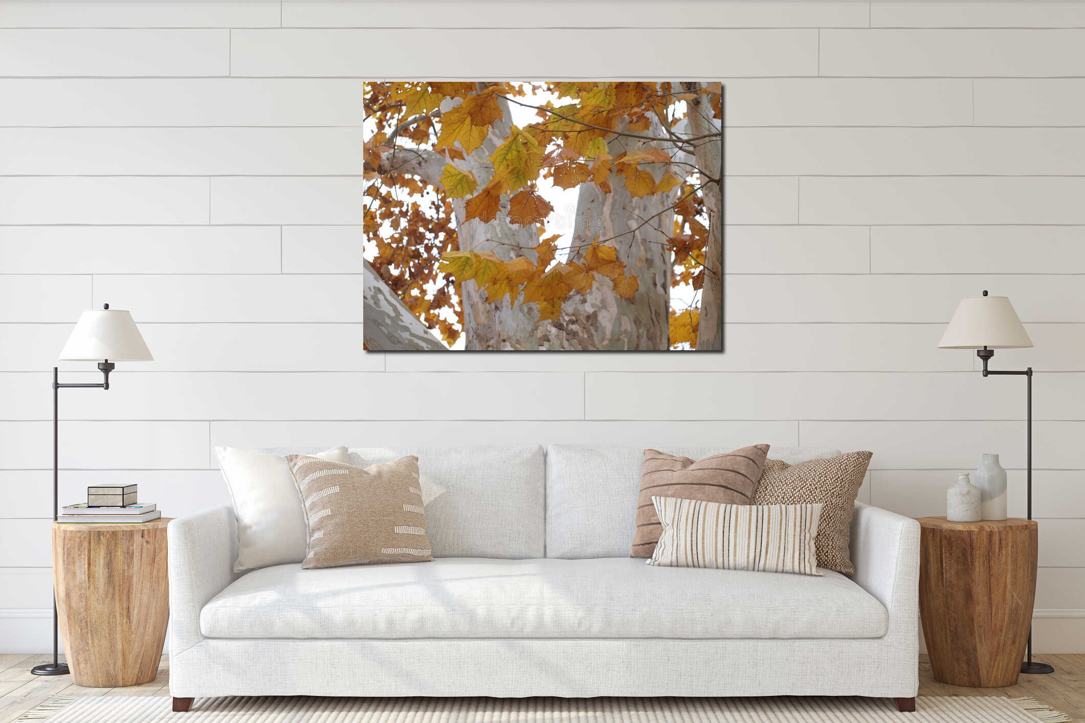 Sycamore Leaves and White Bark interior mockup