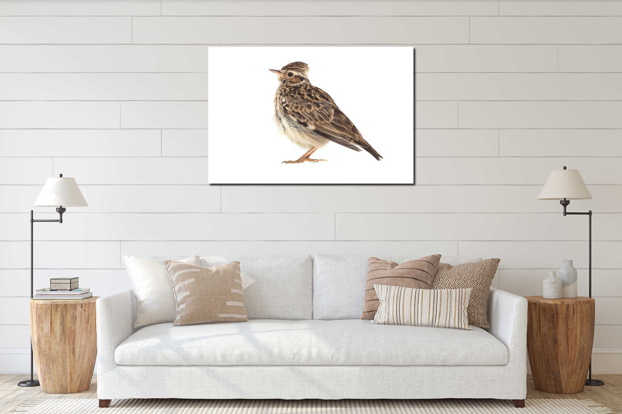 Wood Lark Lullula arborea interior mockup