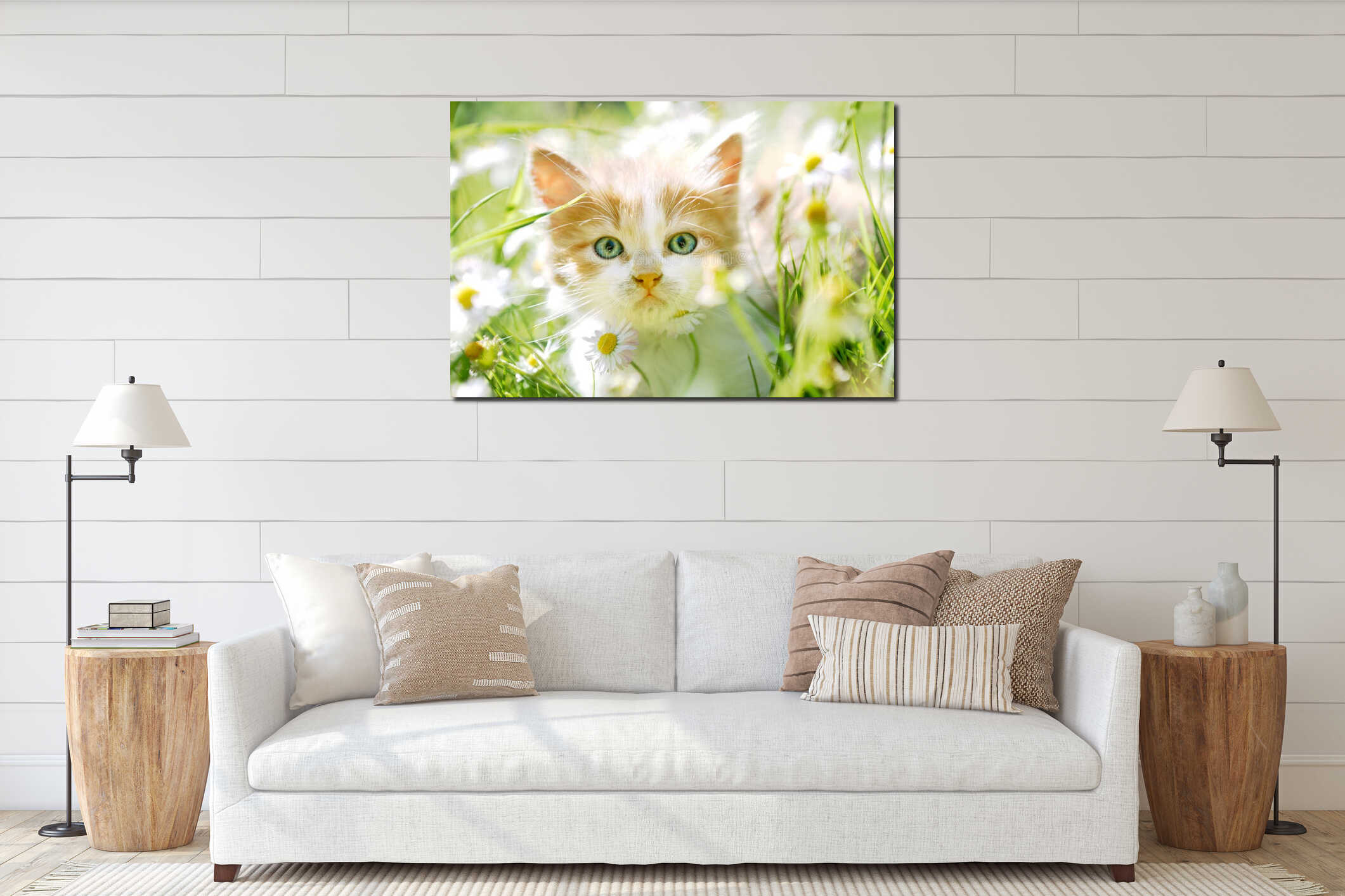 Cute little cat with green eyes in green grass interior mockup