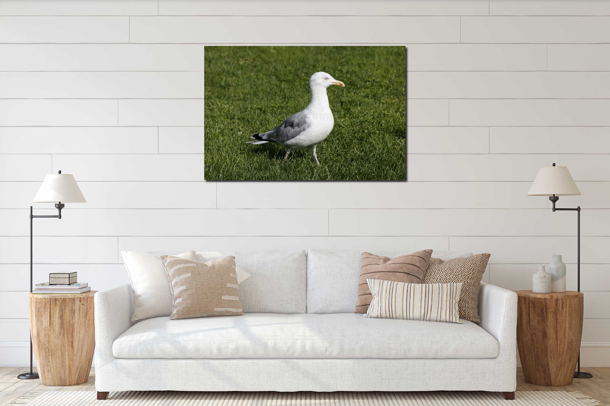 Seagull is standing on the lawn of green grass interior mockup